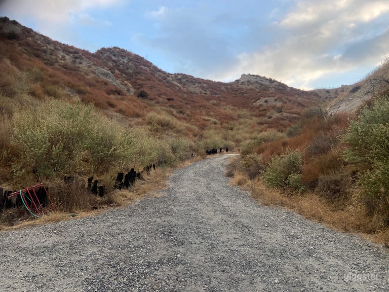  Oct 2024 growth on the side looking up away from the gas station/metal building 