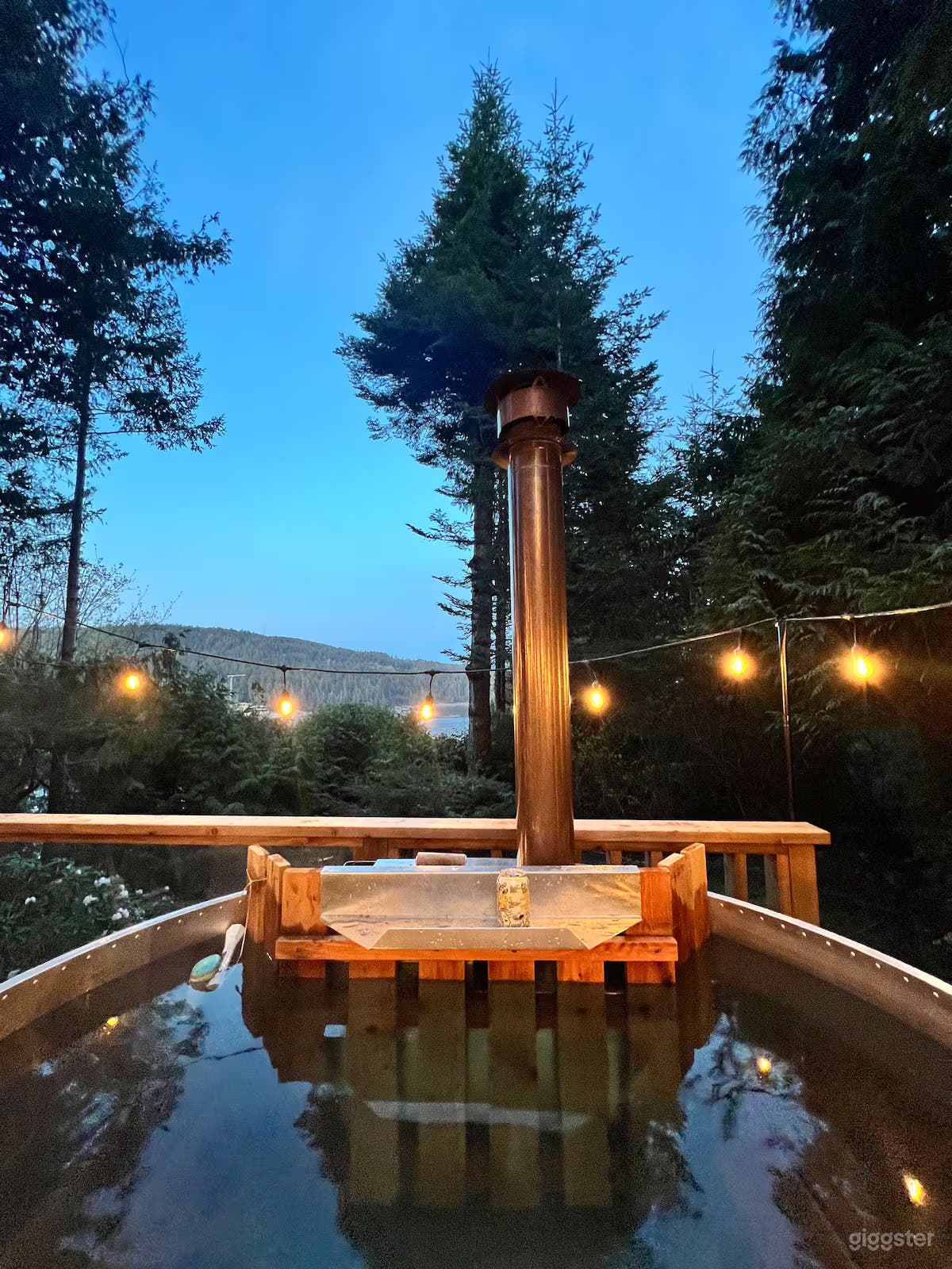 Secluded Coastal Forest Oasis Photo 3