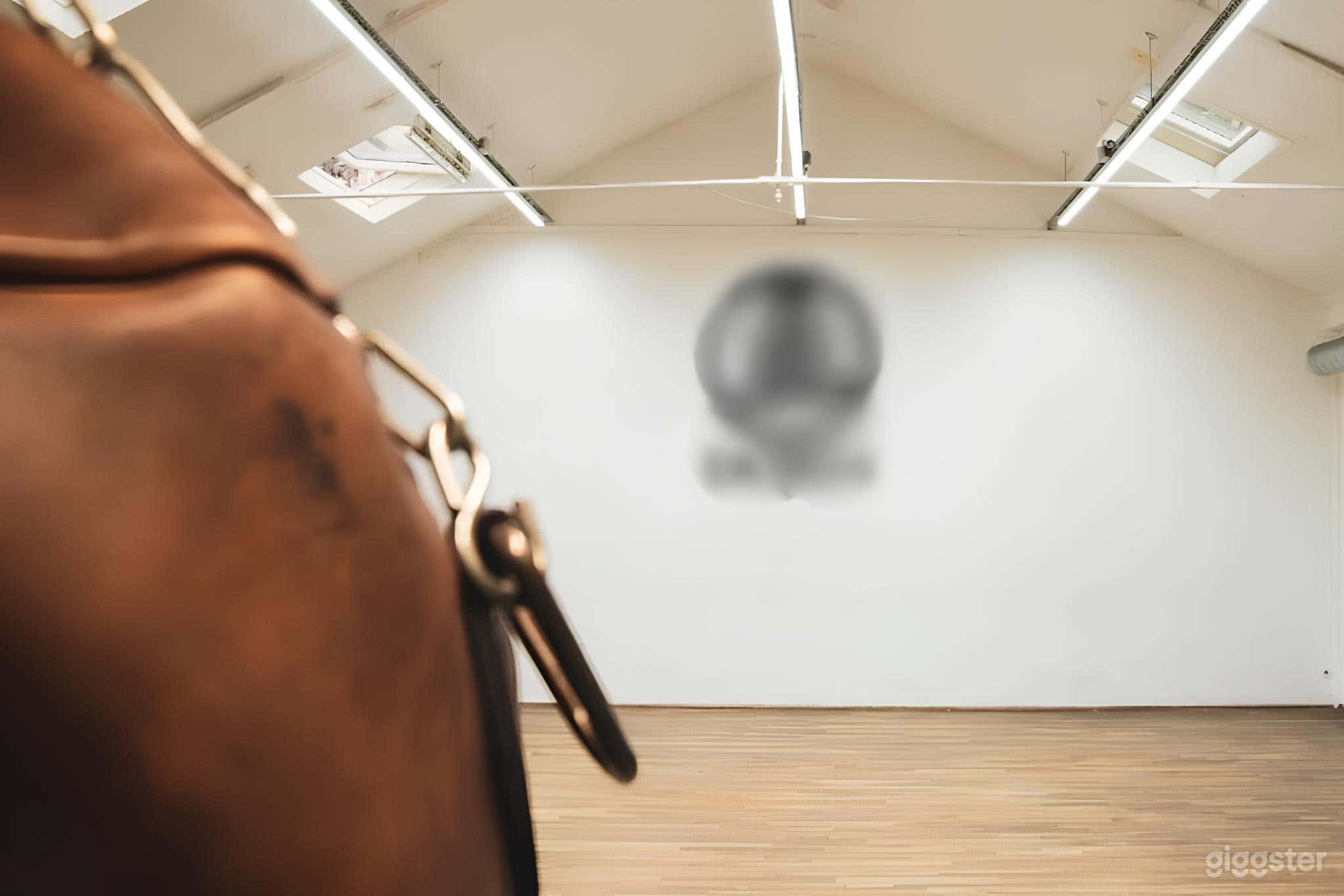 Dojo with 2 Studios for Productions Photo 4