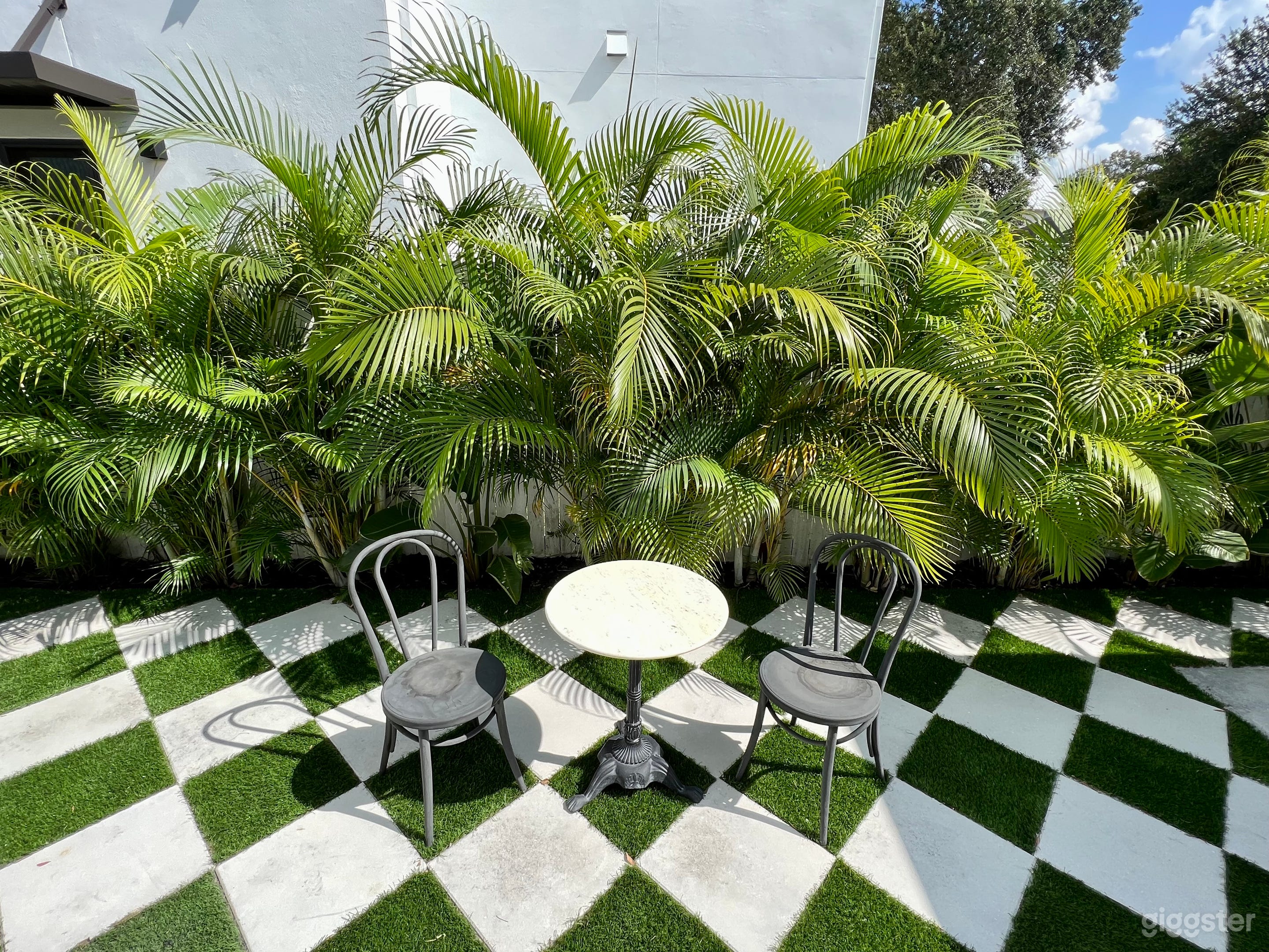 Modern Classic Tropical Oasis North Hyde Park Photo 4