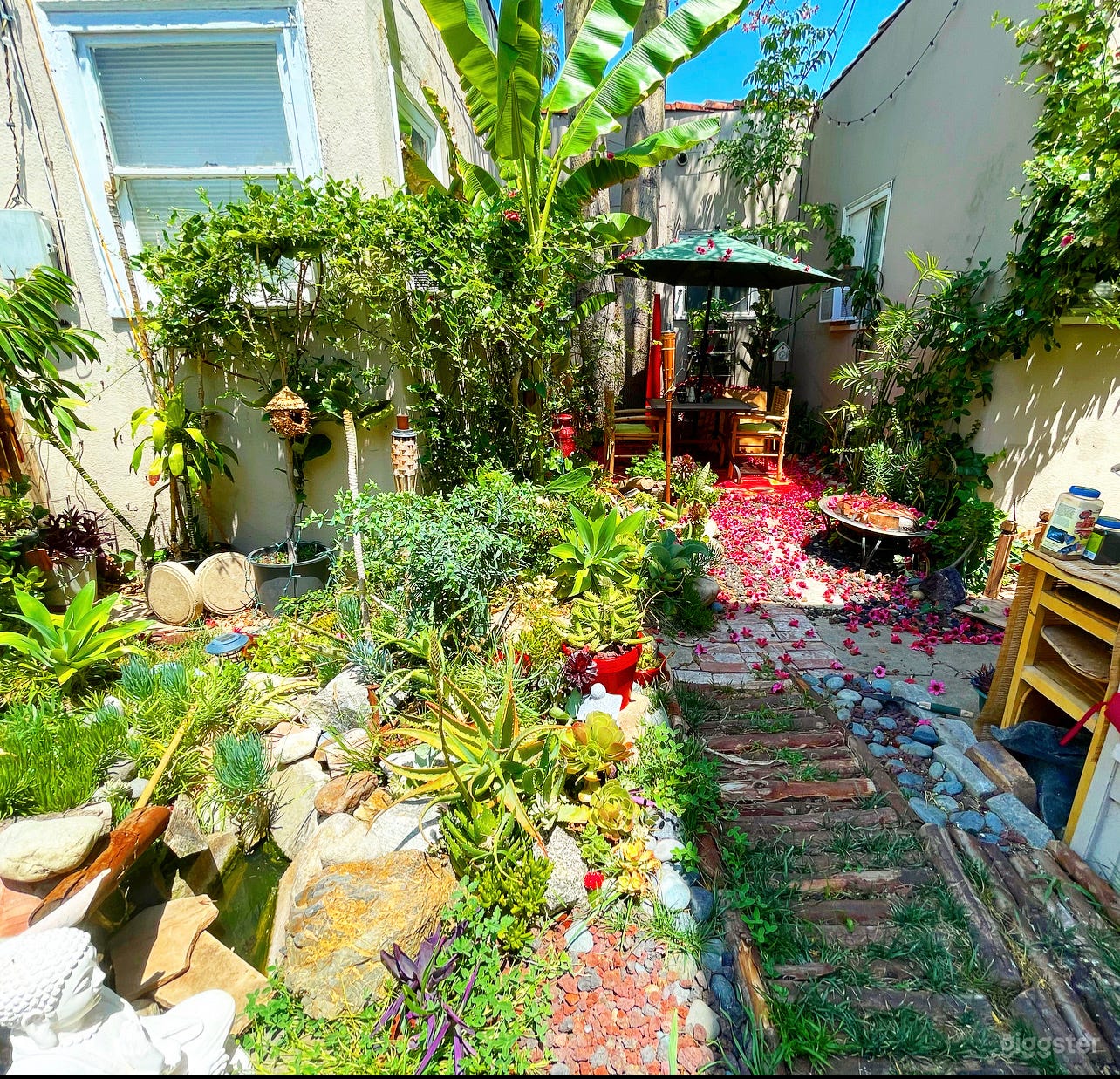 Beautiful house in Hollywood Photo 3