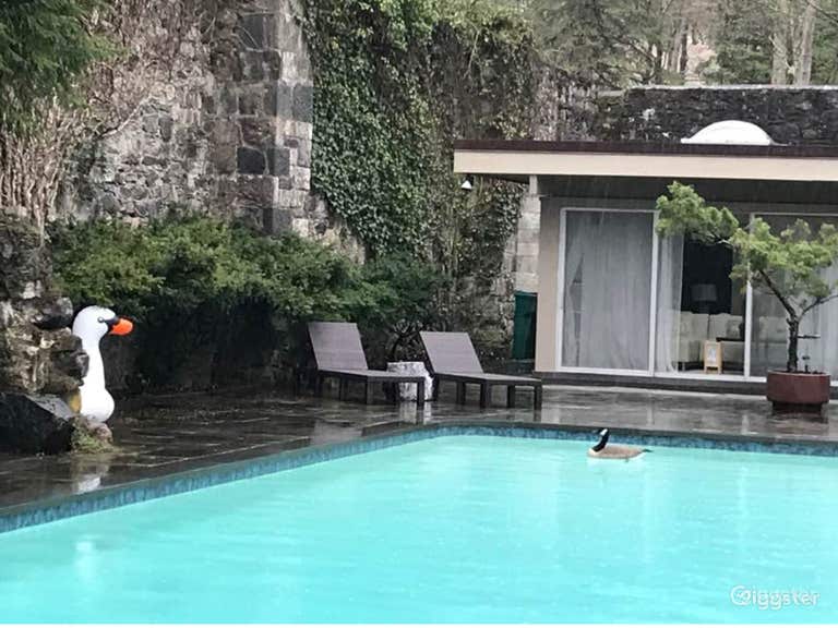  Modern Historic Pool House 