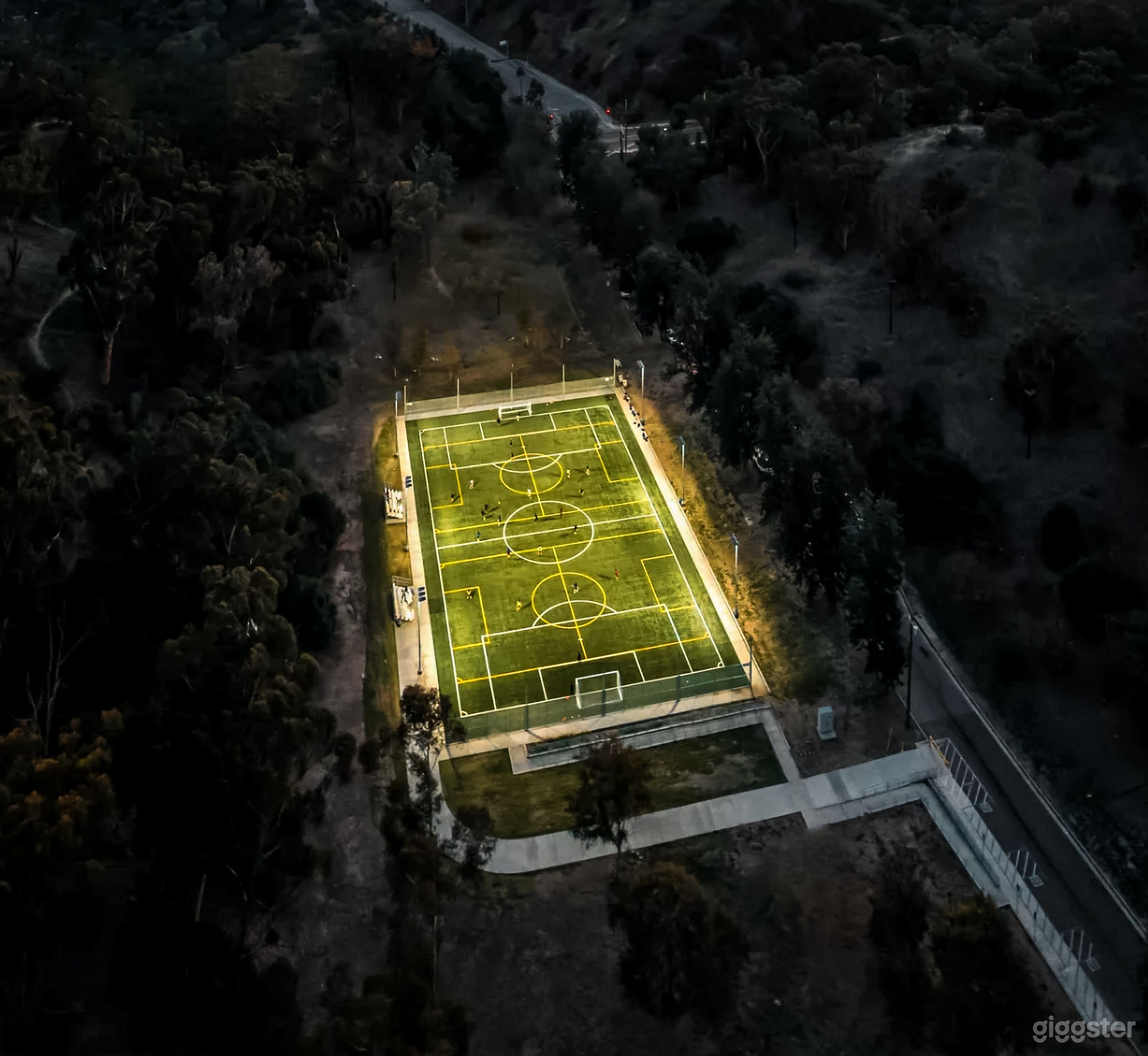 Turf Soccer Arena | Stadium-Lit Athletic Photo 1