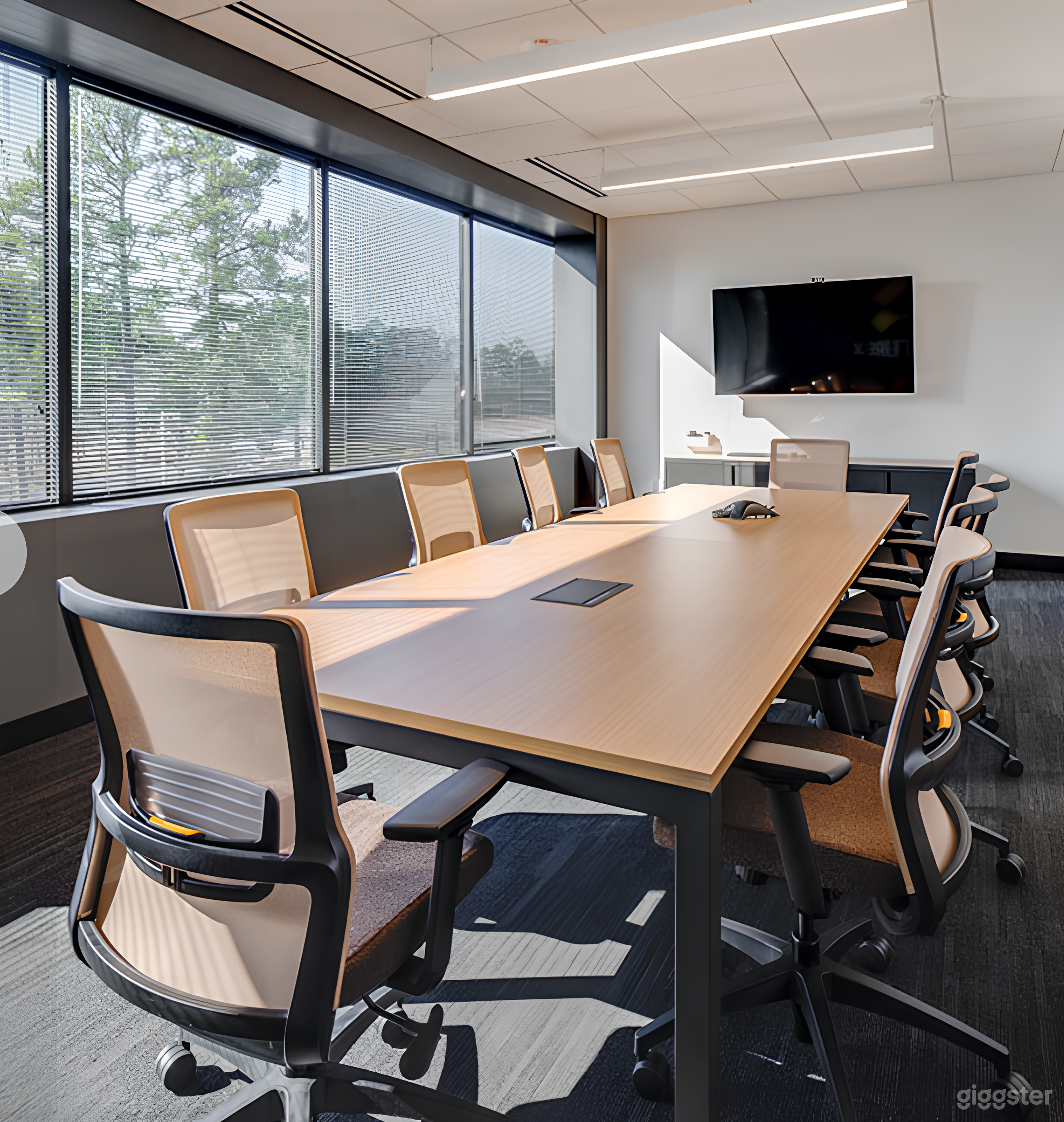 Lake Eola Large Conference Room Photo 2