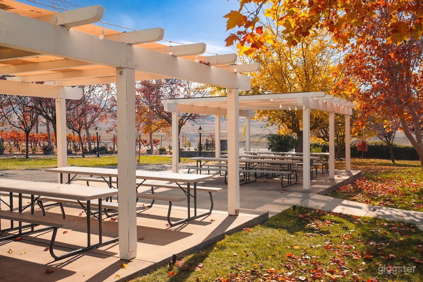 Garden, Pergola with Picnic Benches Photo 1