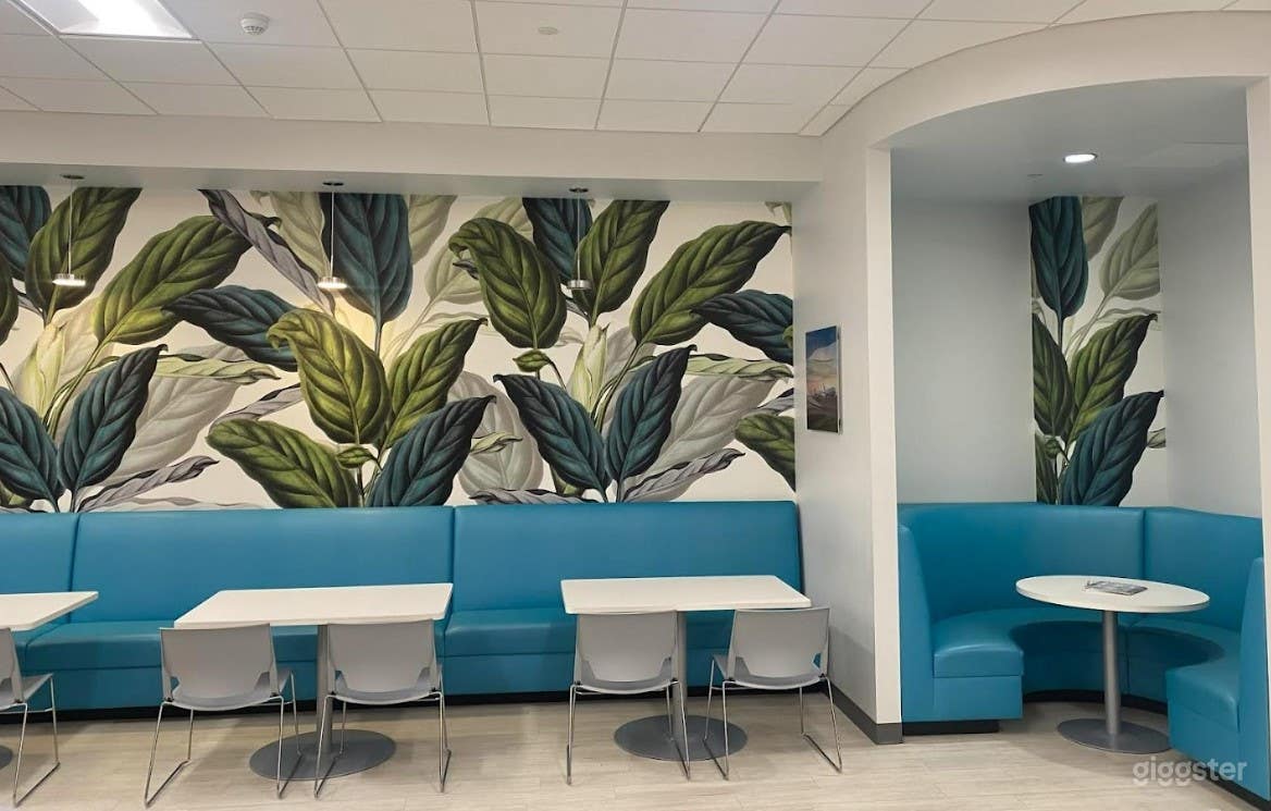 15 Person Team Office in Miami, FL Photo 3