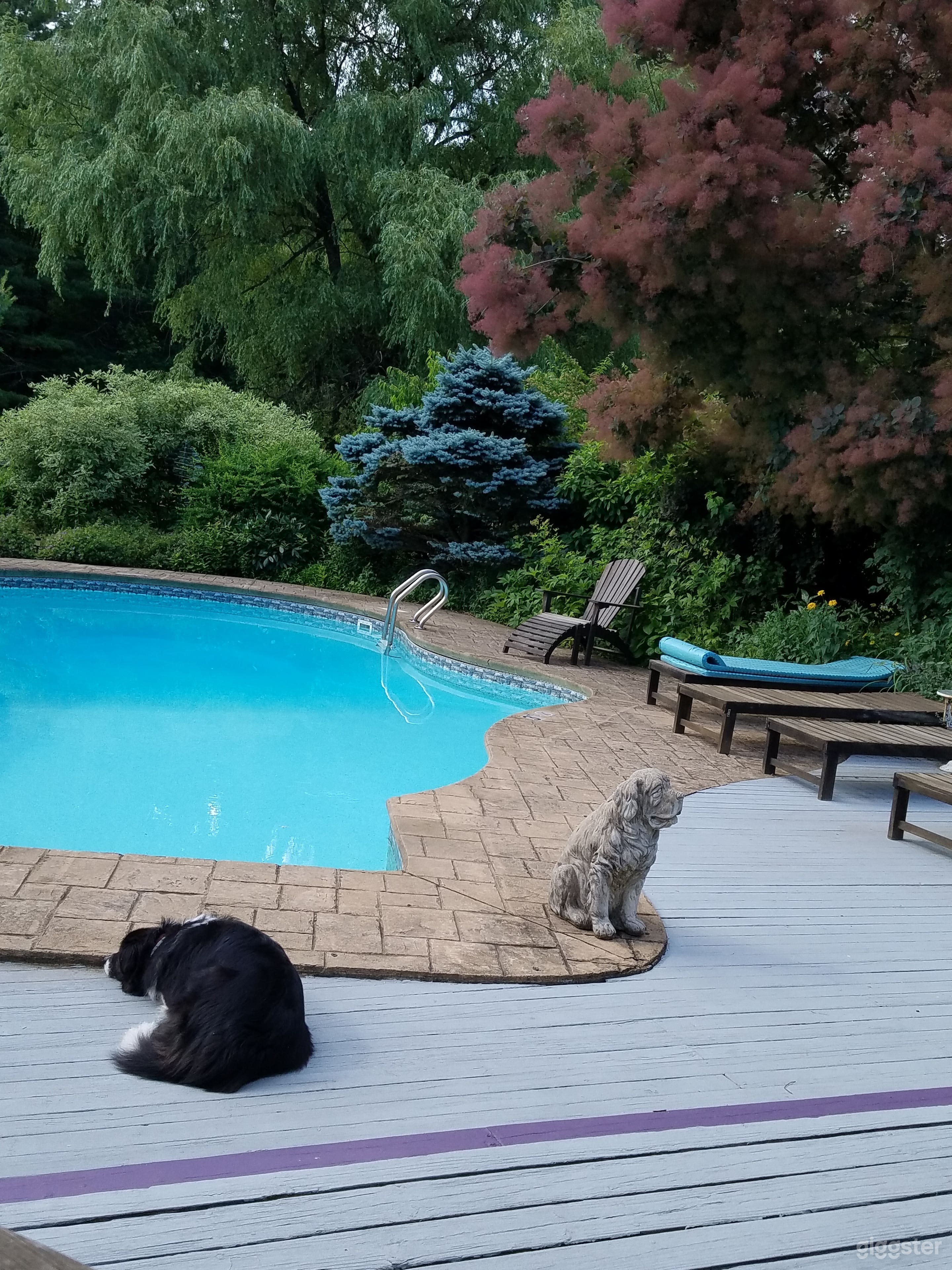 Heated salt water pool and pool garden