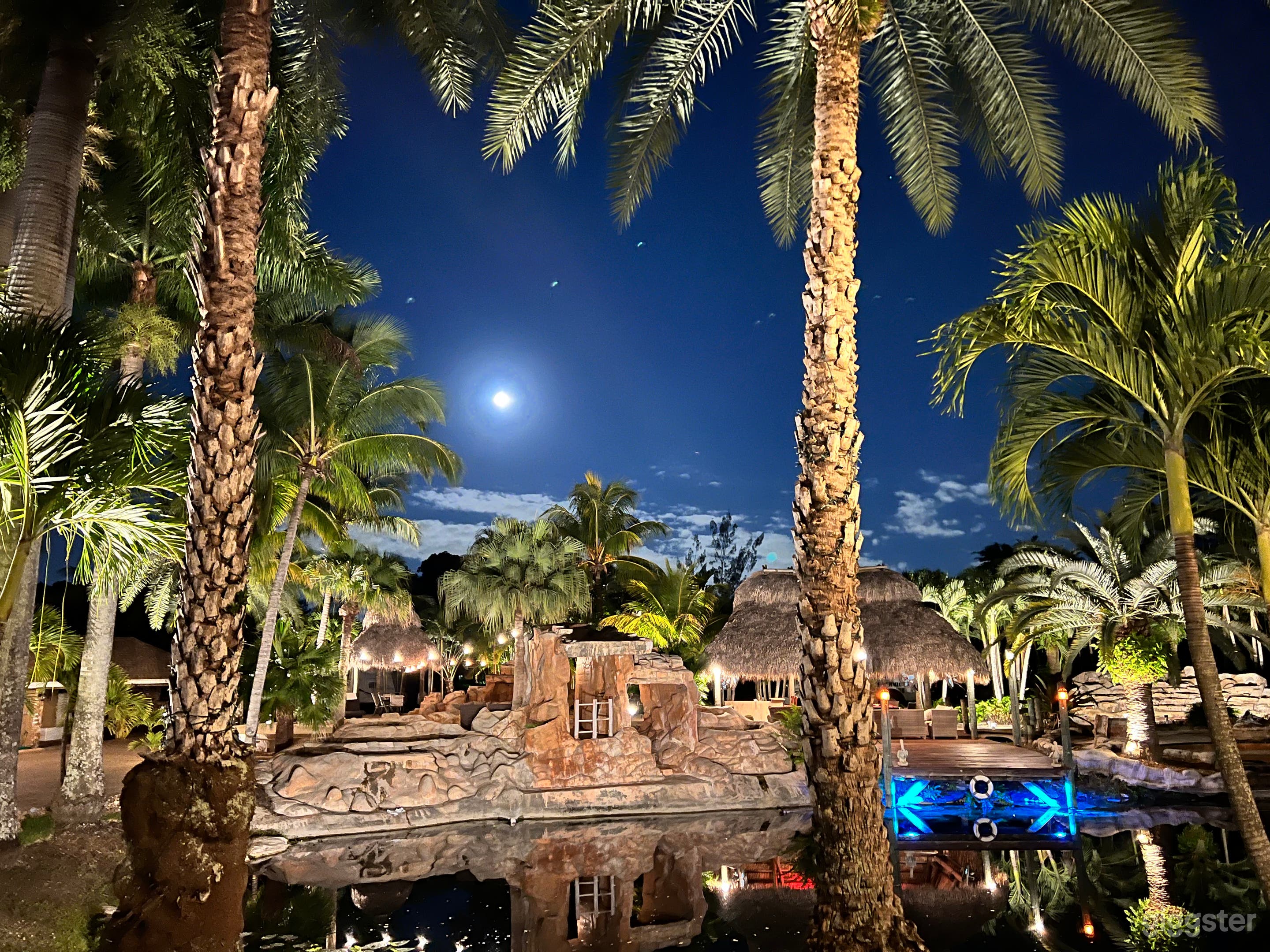 Beautiful Grand Oasis in Florida Photo 2