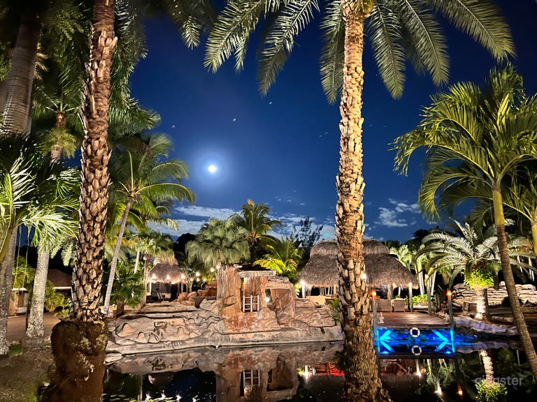  Beautiful Grand Oasis in Florida 