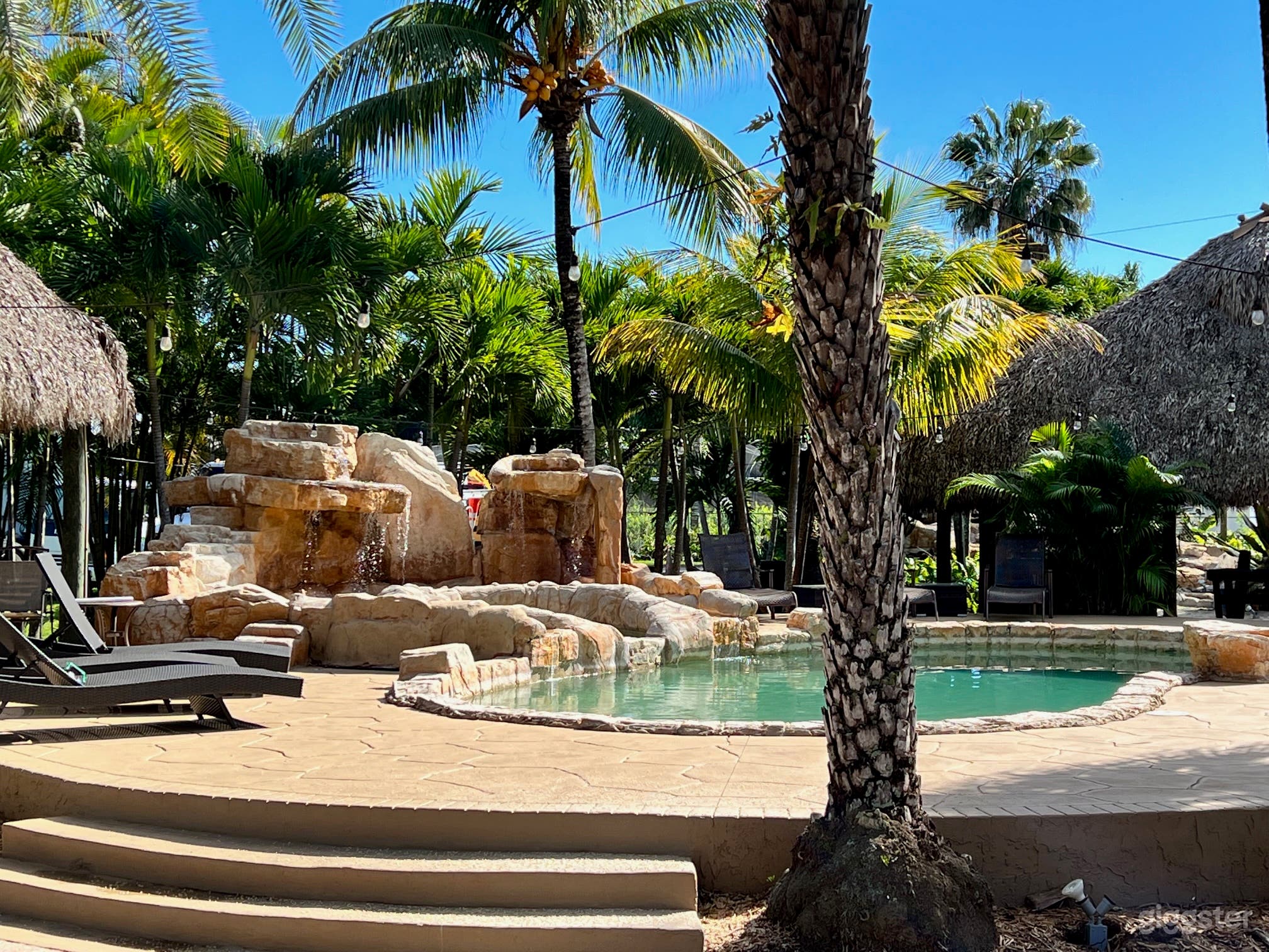 Beautiful Grand Oasis in Florida Photo 1