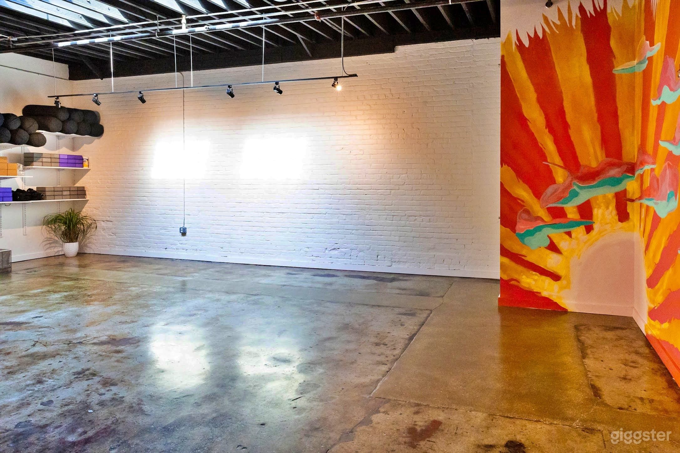 Inviting Yoga Studio (Buyout) Photo 4