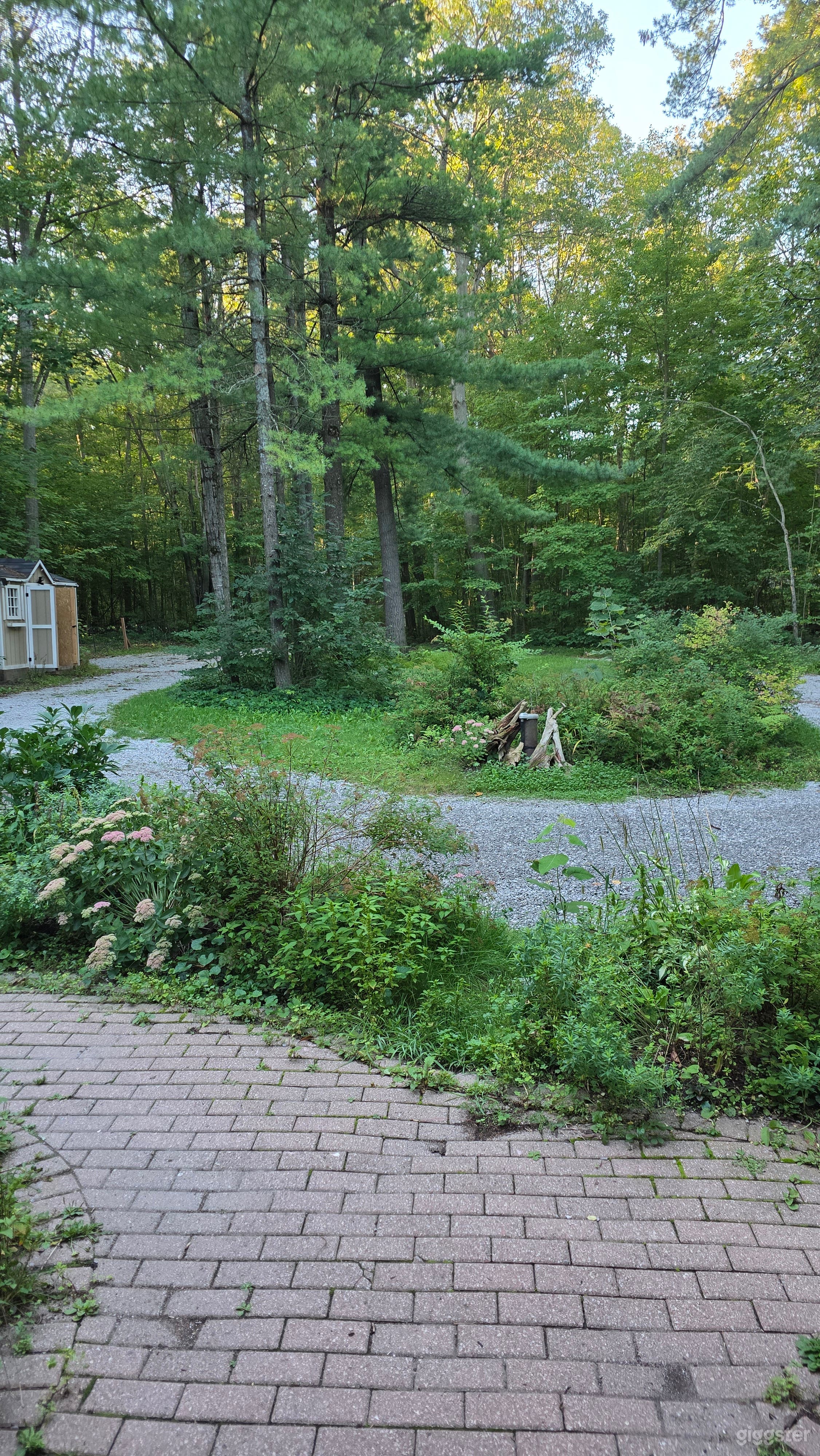 Beautiful home in the Woods Photo 2