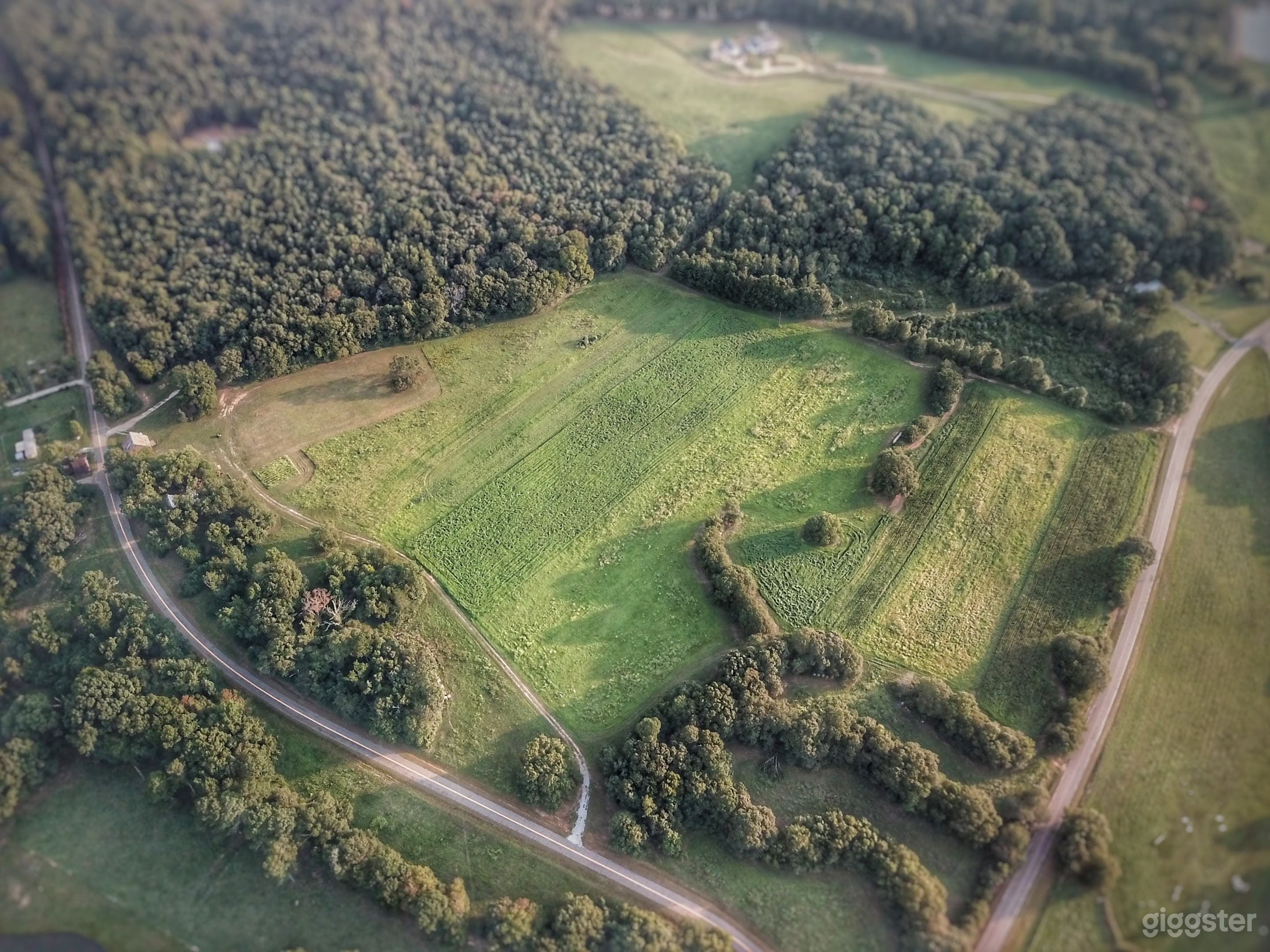 Beechwood Farms Photo 3