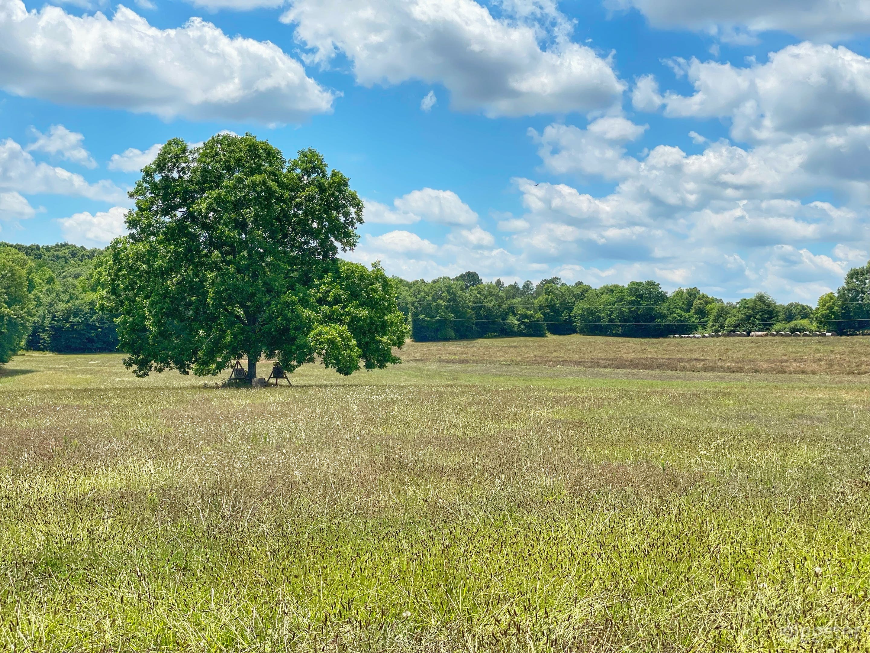 Beechwood Farms Photo 1