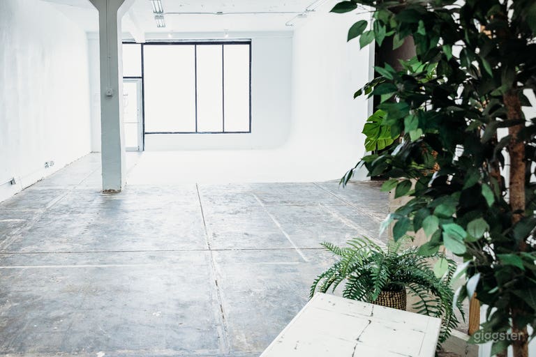  Daylight Photography Studio C in Downtown Orlando 