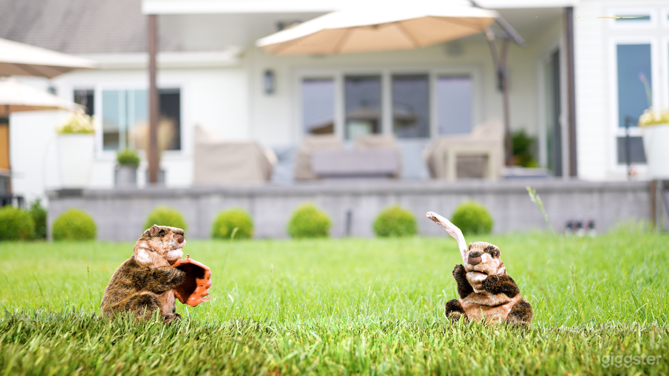 This was filmed using out blue sreen