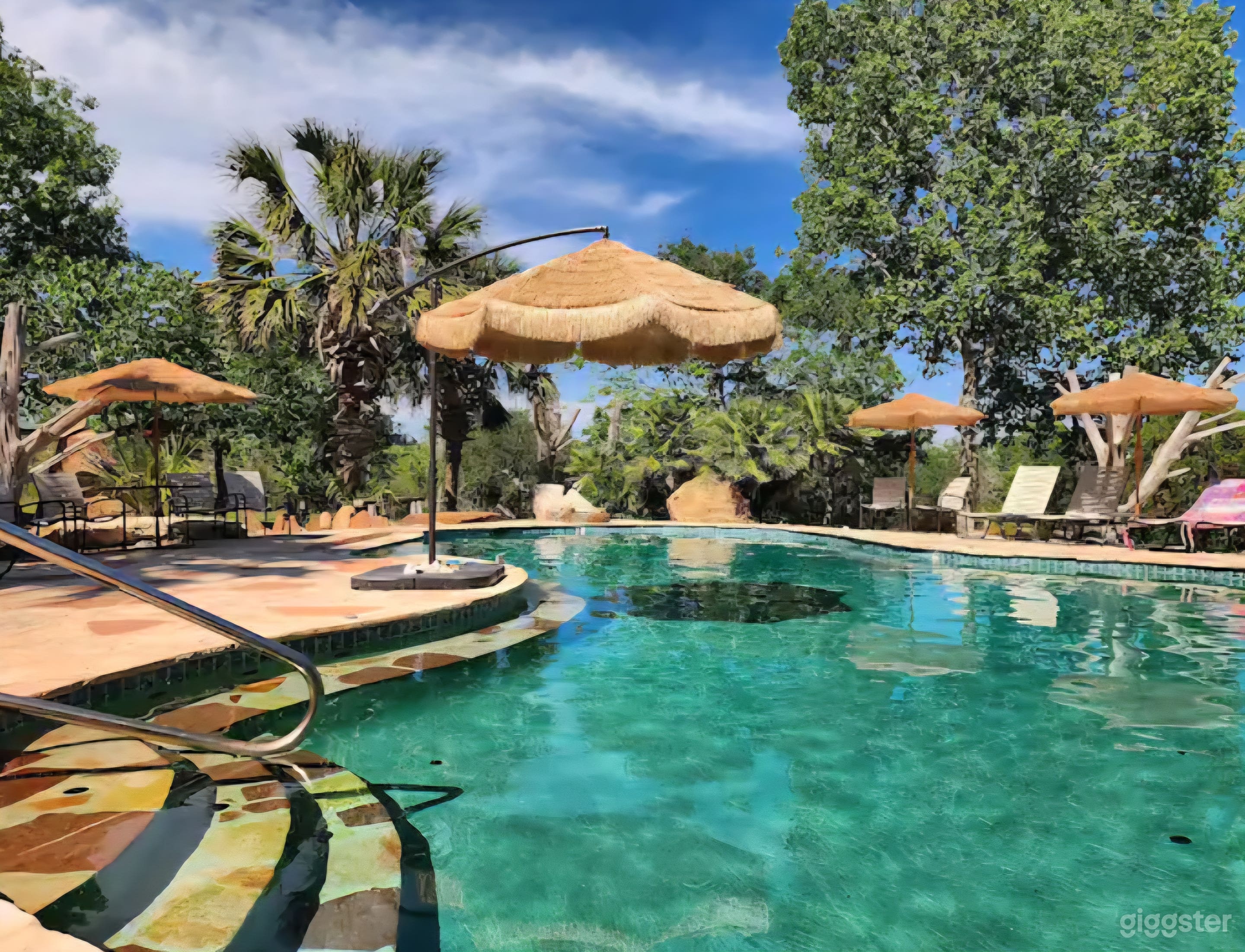 The Big Haus (Full Buy Out) Photo 4