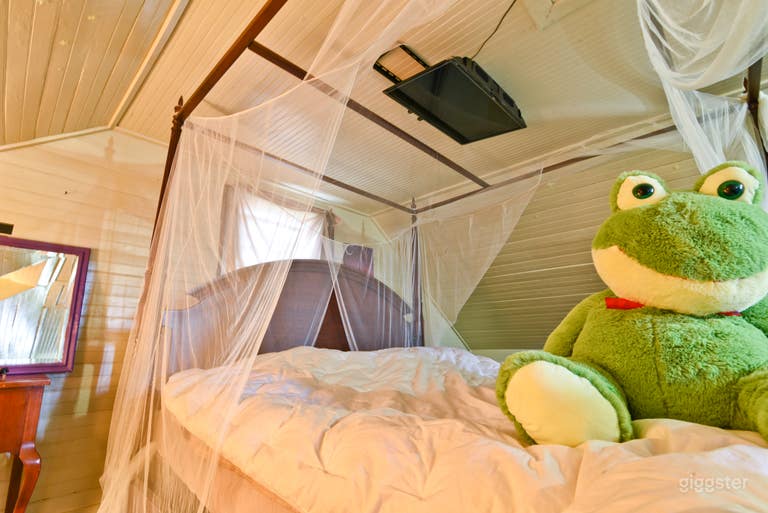  Bnb Guitar House of New Orleans 