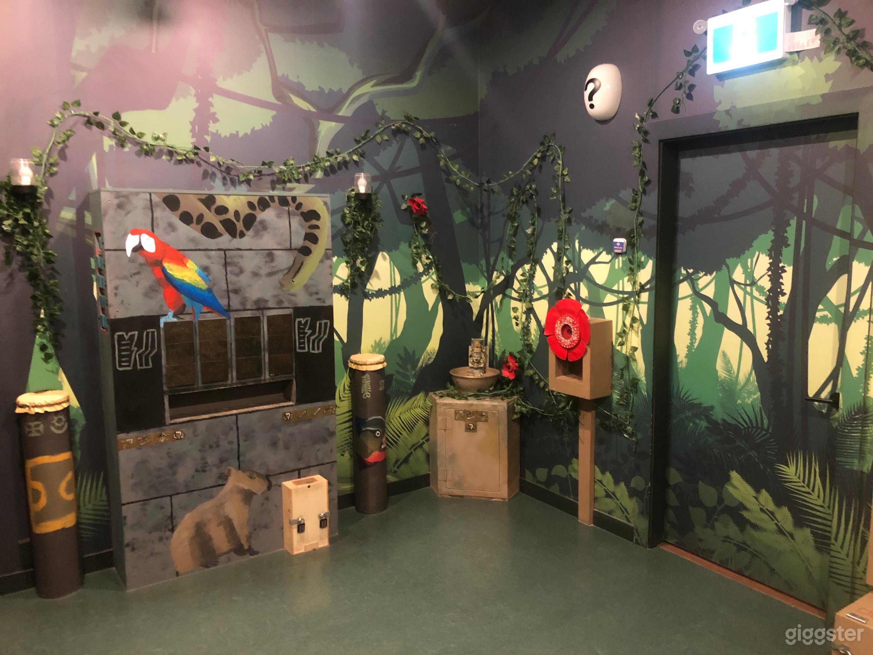 Rainforest Theme Room