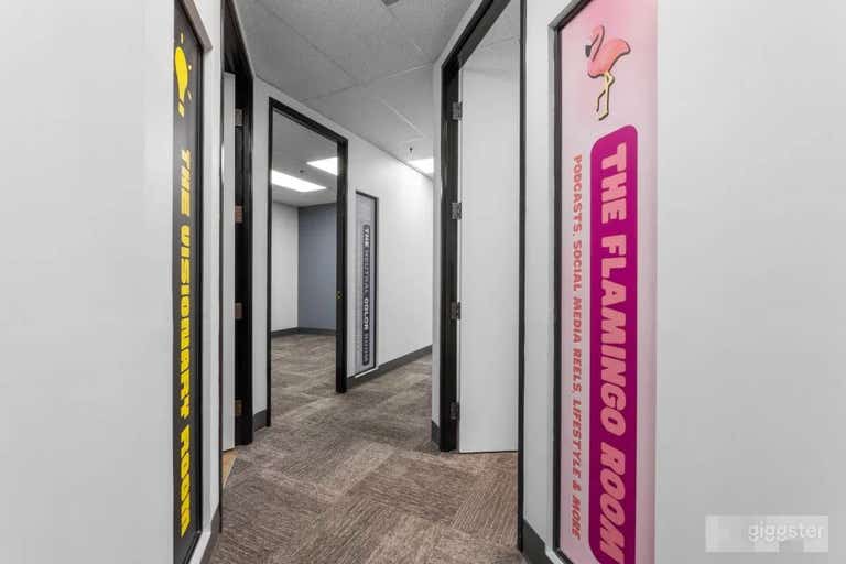  The Flamingo Room w/ Professional Podcast Setup 