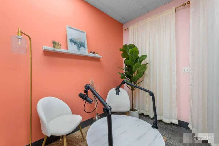  The Flamingo Room w/ Professional Podcast Setup 