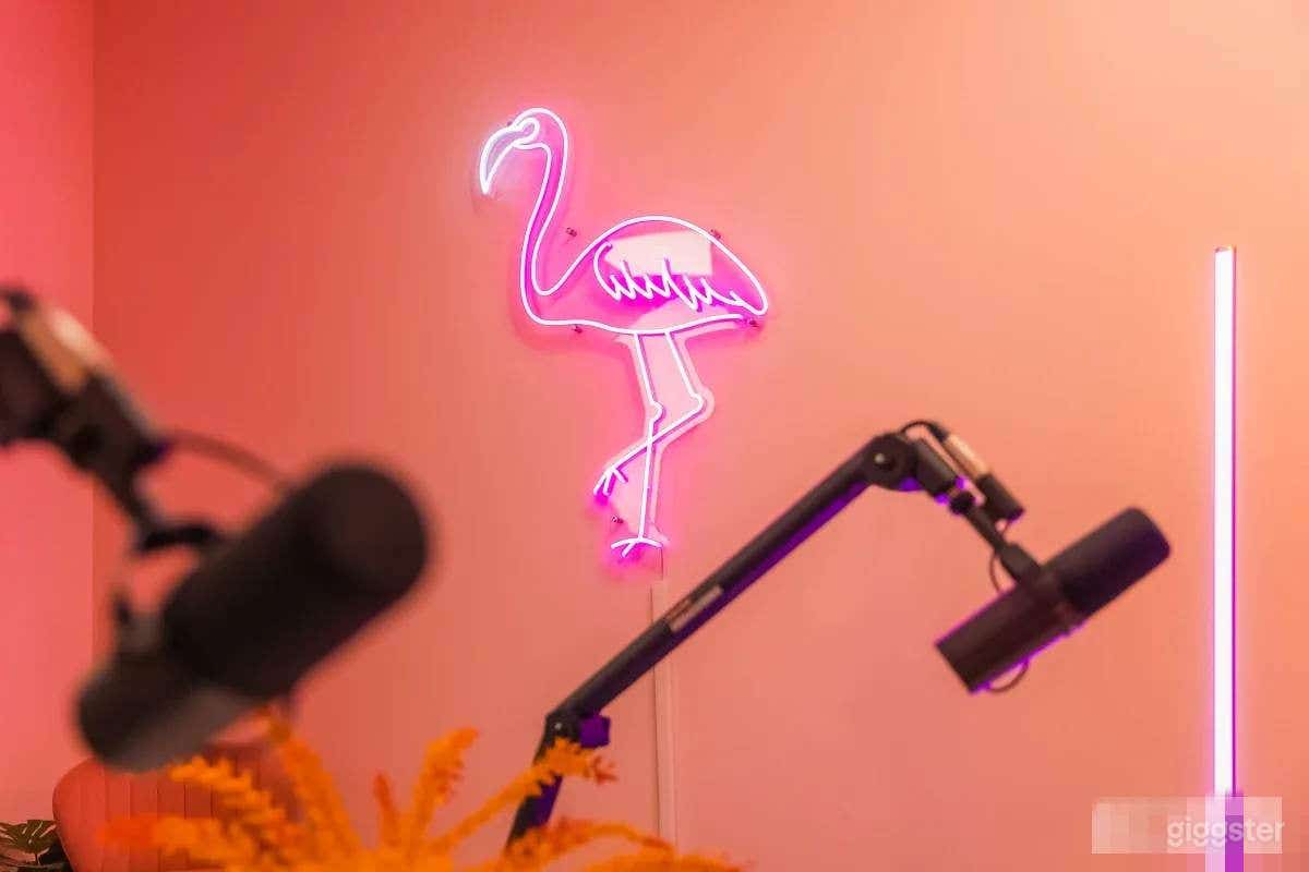 The Flamingo Room w/ Professional Podcast Setup Photo 1