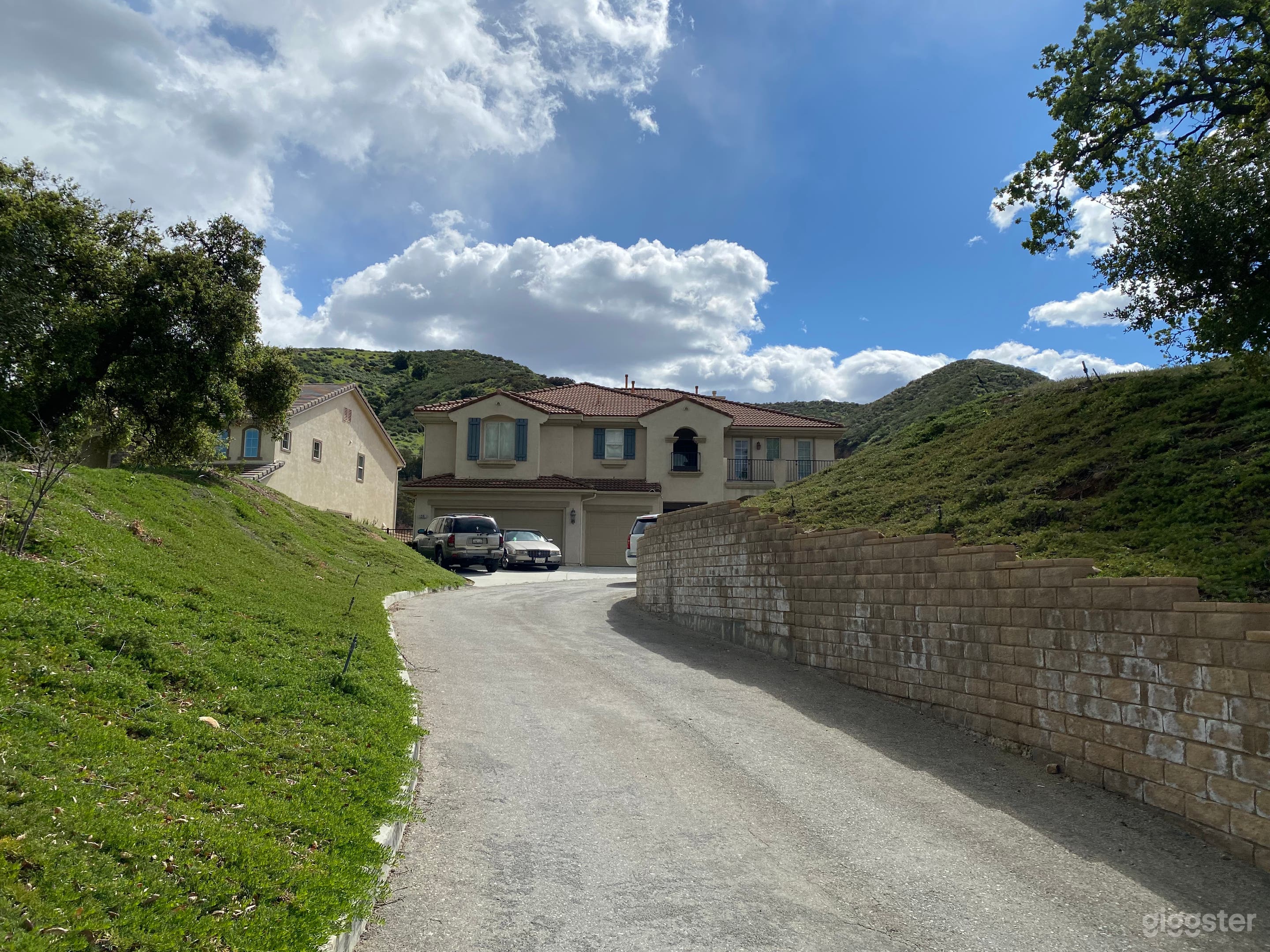Long driveway leads to amazing 4600 square foot dream home
