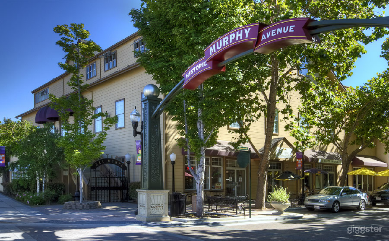 Small Conference Room in Sunnyvale Photo 3