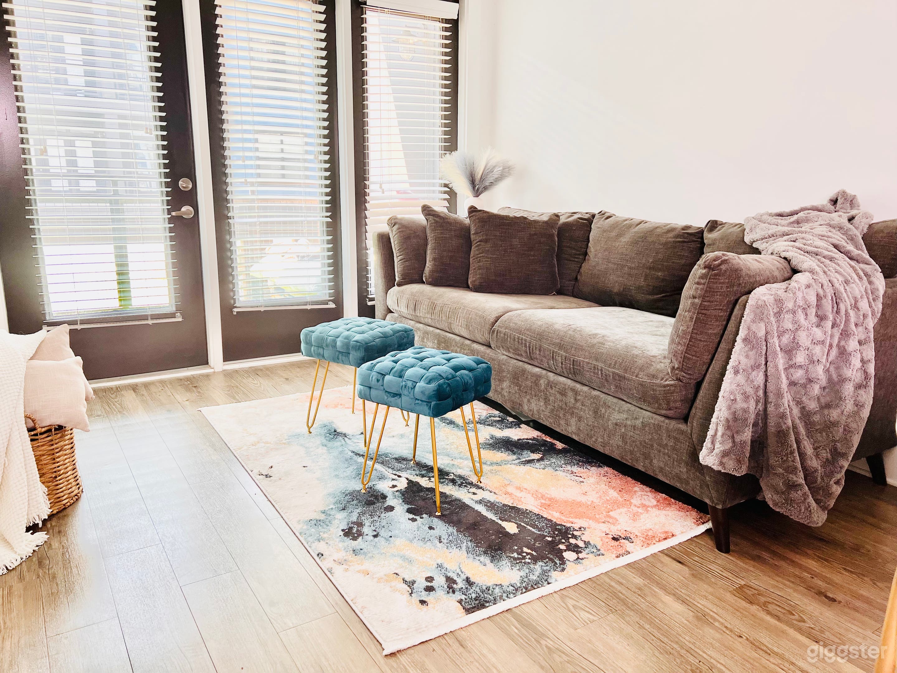 The Compound  Photo 3