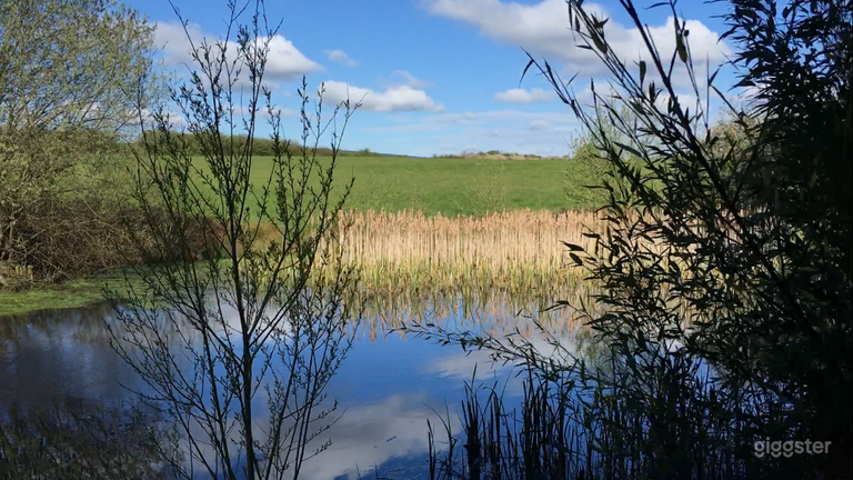  55-Acre Scenic Farm with Barns, Log Cabin, and Event Facilit 