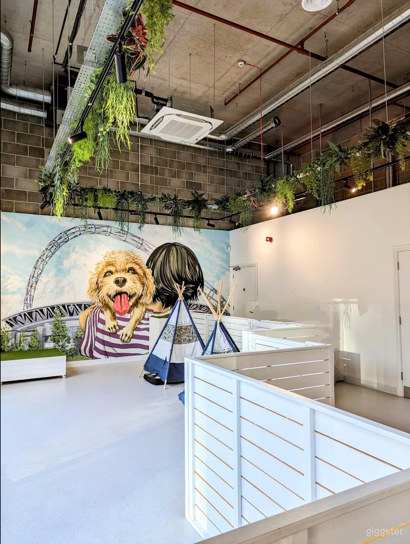 Dog Therapy Events &amp; Celebrations Photo 1