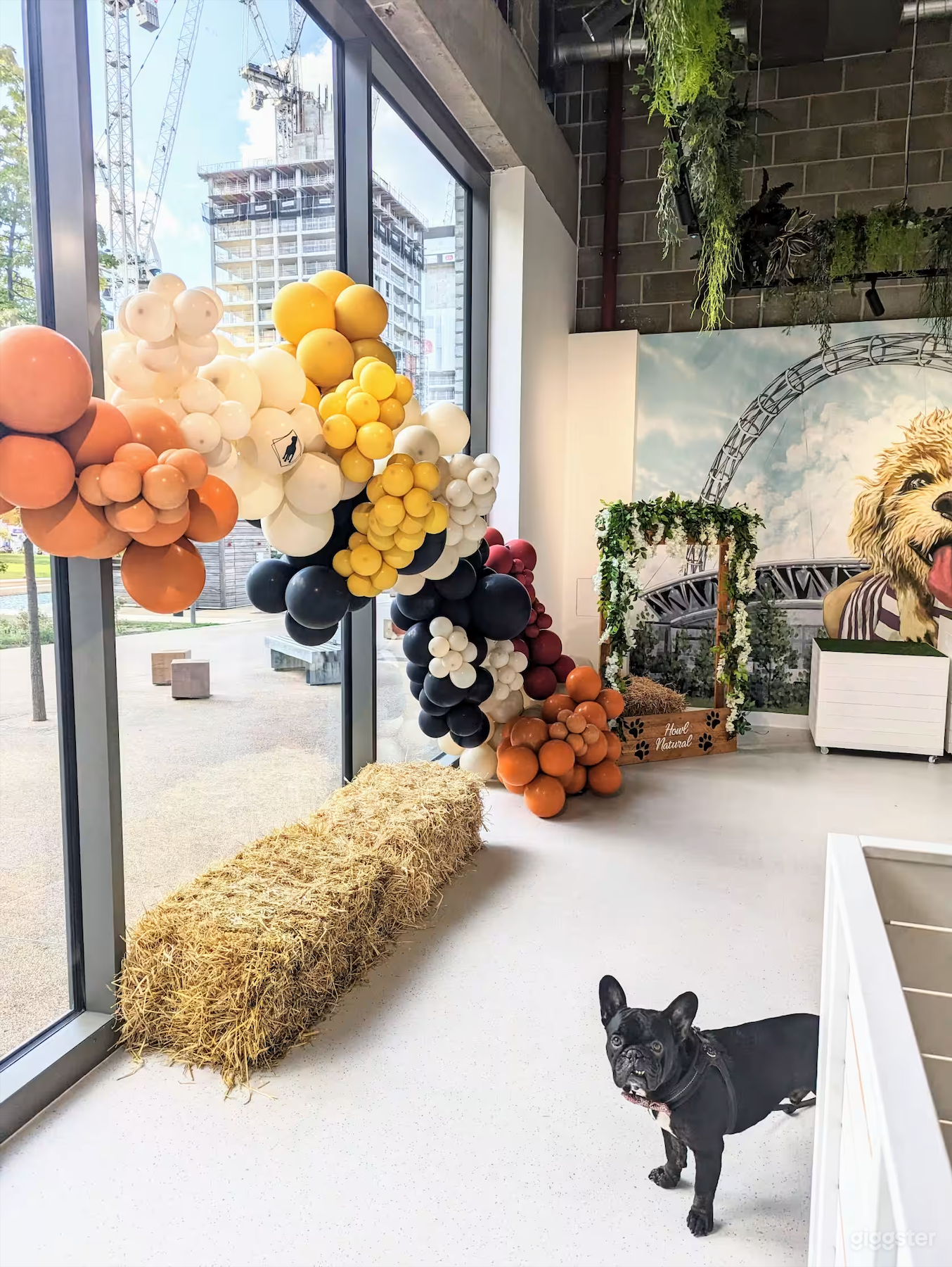 Dog Therapy Events &amp; Celebrations Photo 2