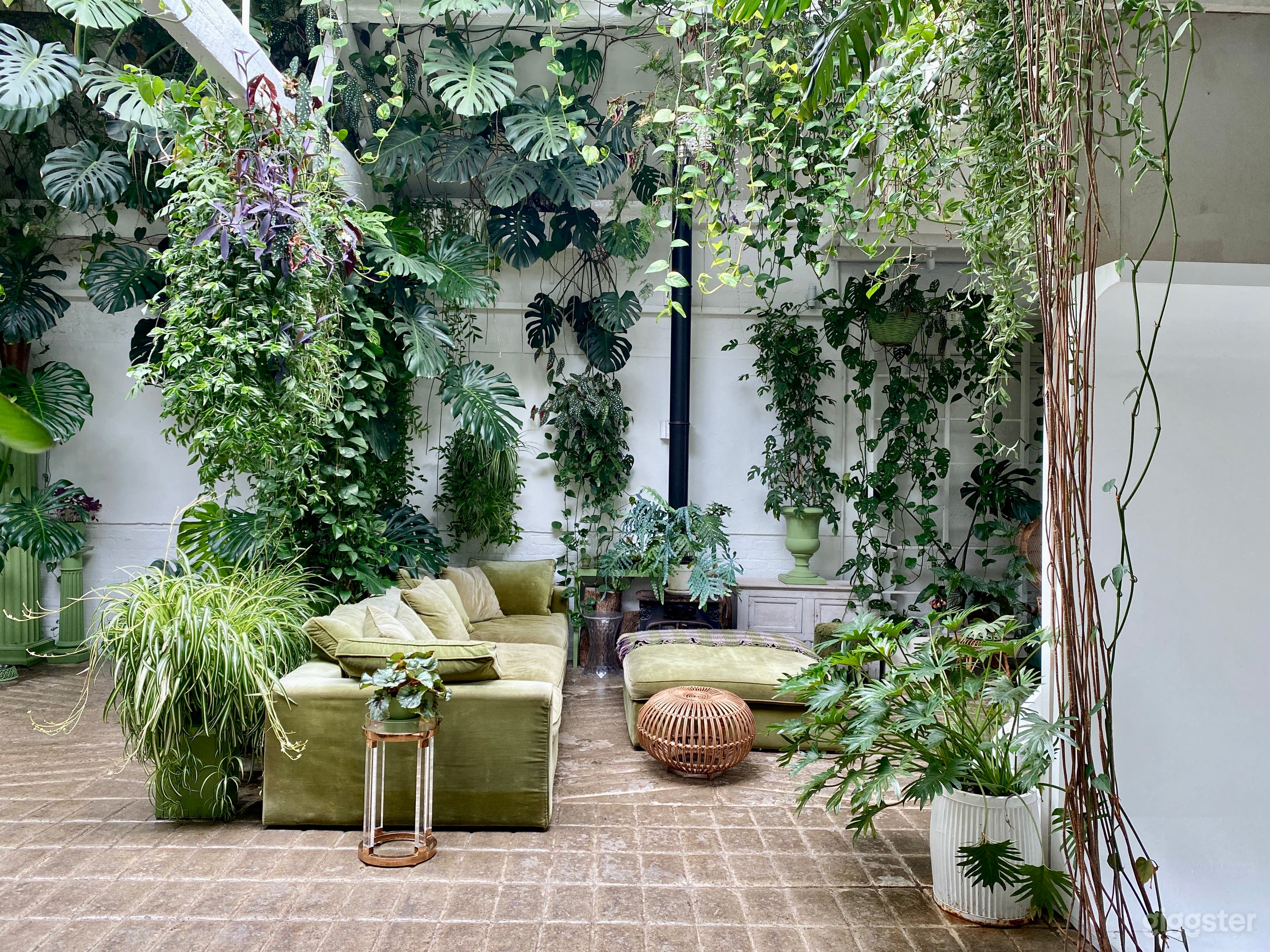 Plant filled Victorian stable Venue Photo 3