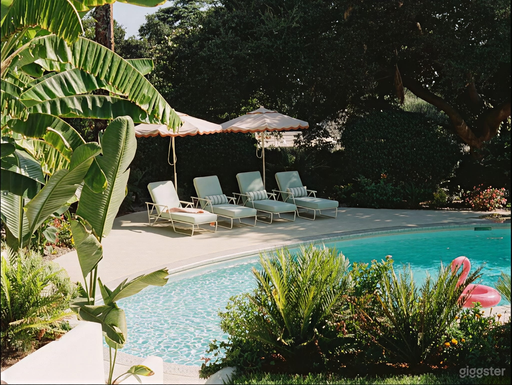 Midcentury Modern Retreat with Pool & Lush Landscaping Photo 1