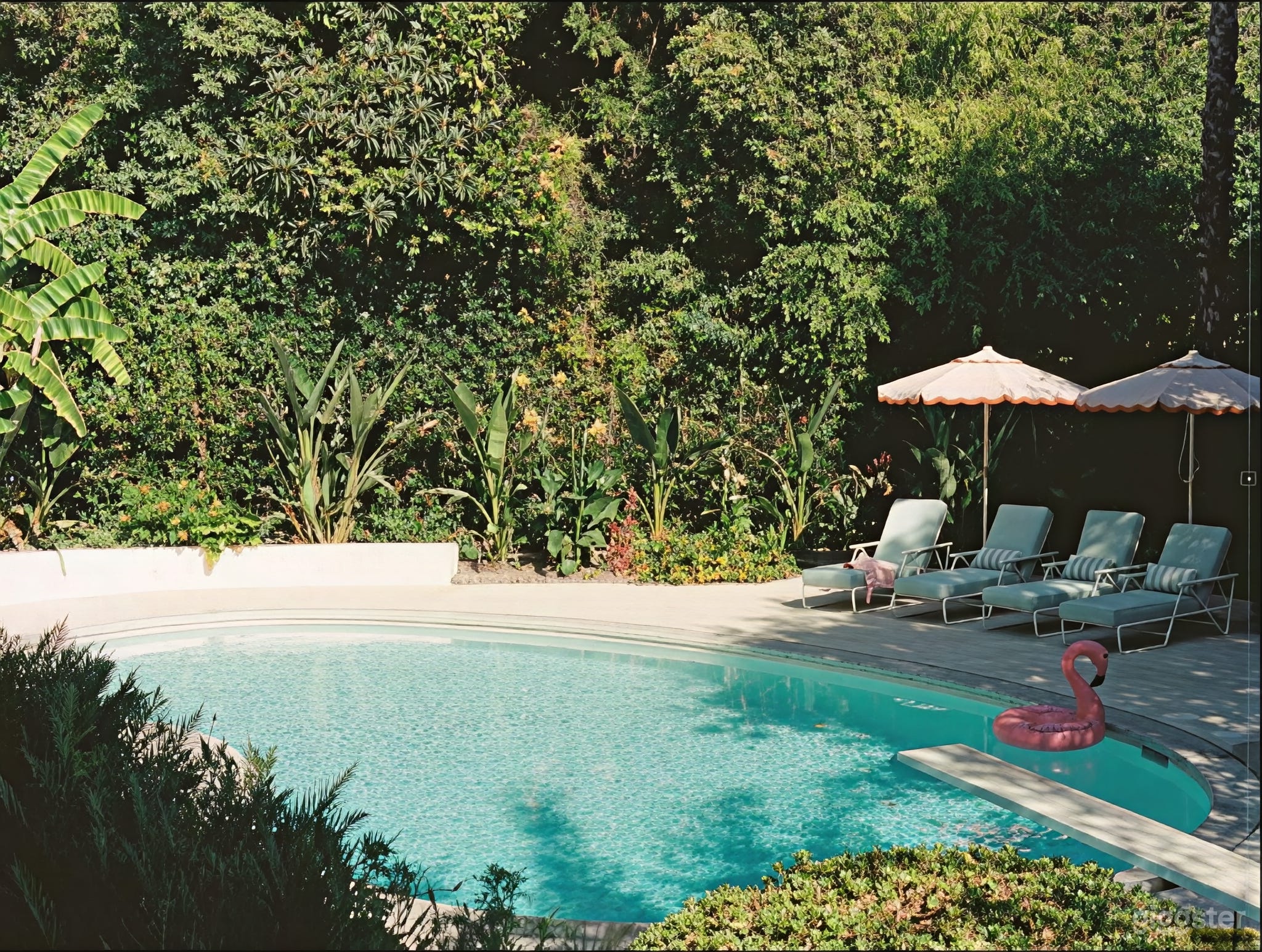 Midcentury Modern Retreat with Pool & Lush Landscaping Photo 3