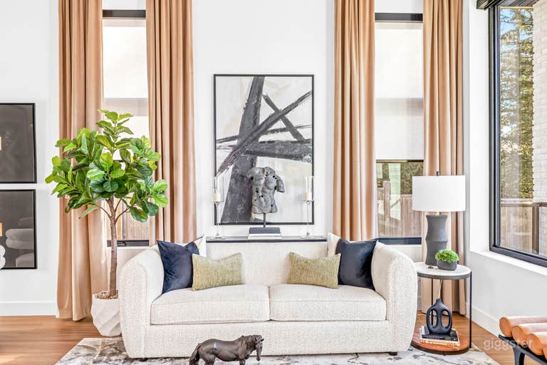  Stunning Designer Home with Soaring Ceilings 