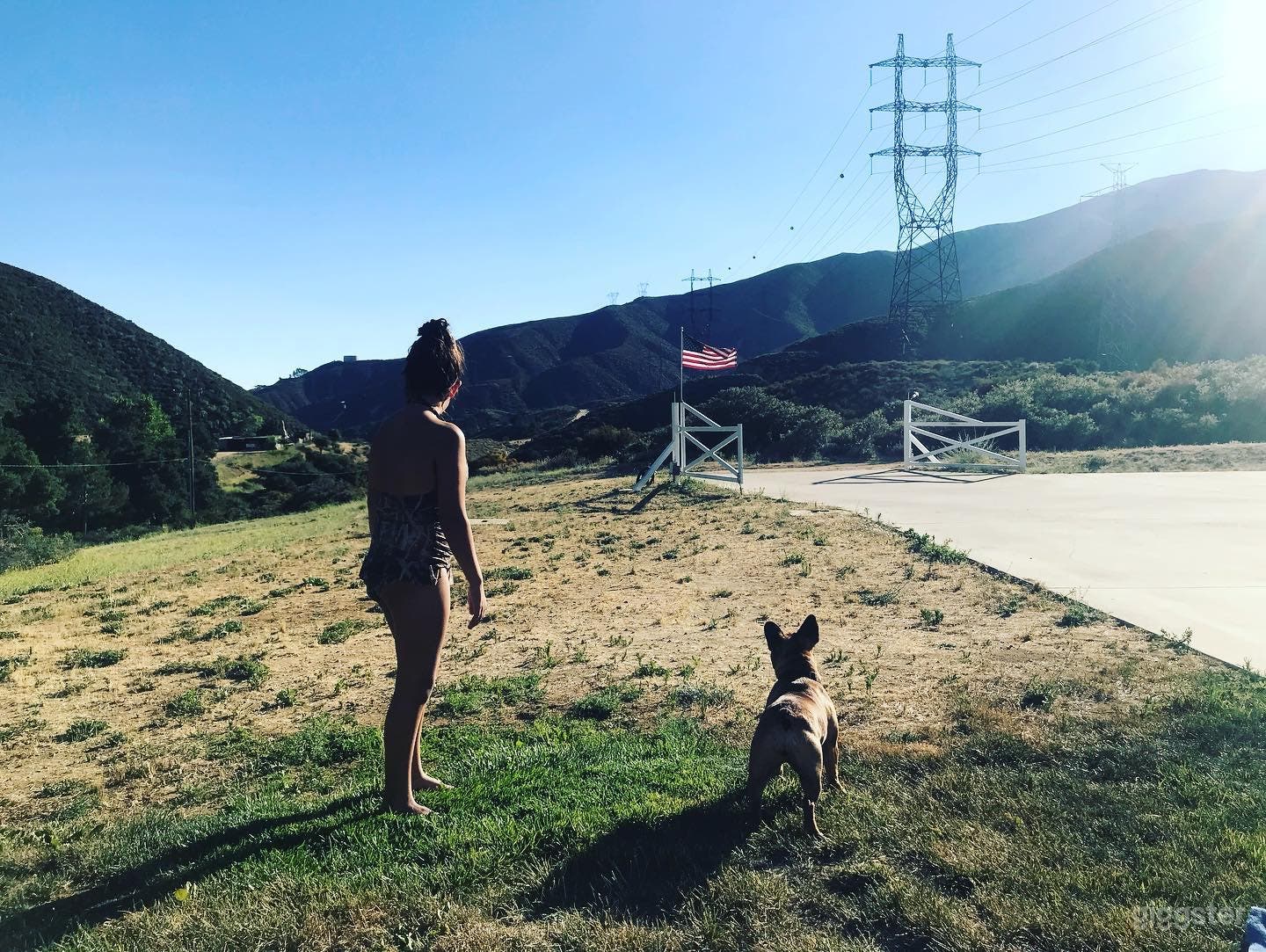 Looking out towards the driveway from the front yard