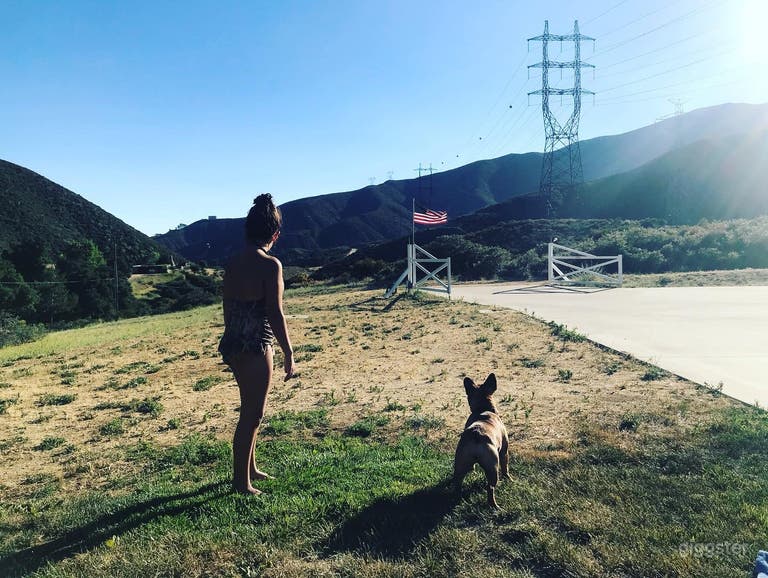  Looking out towards the driveway from the front yard 