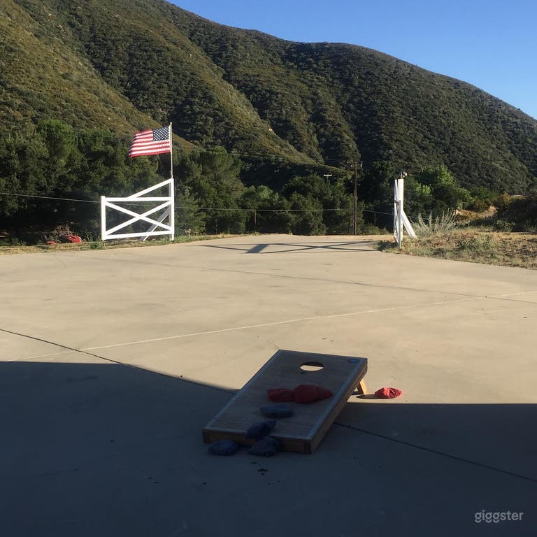  Looking out the driveway from the garage 