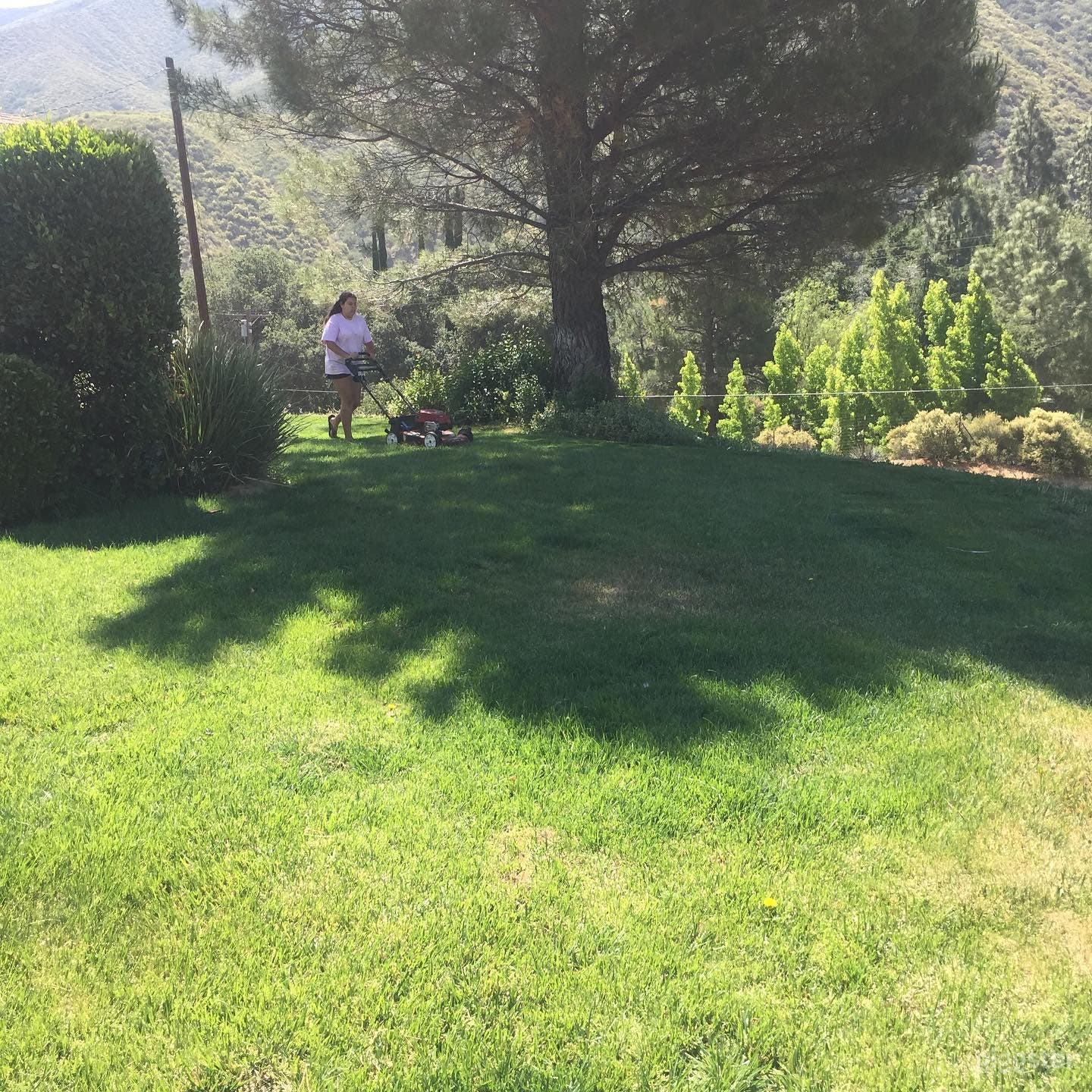 Part of the front yard