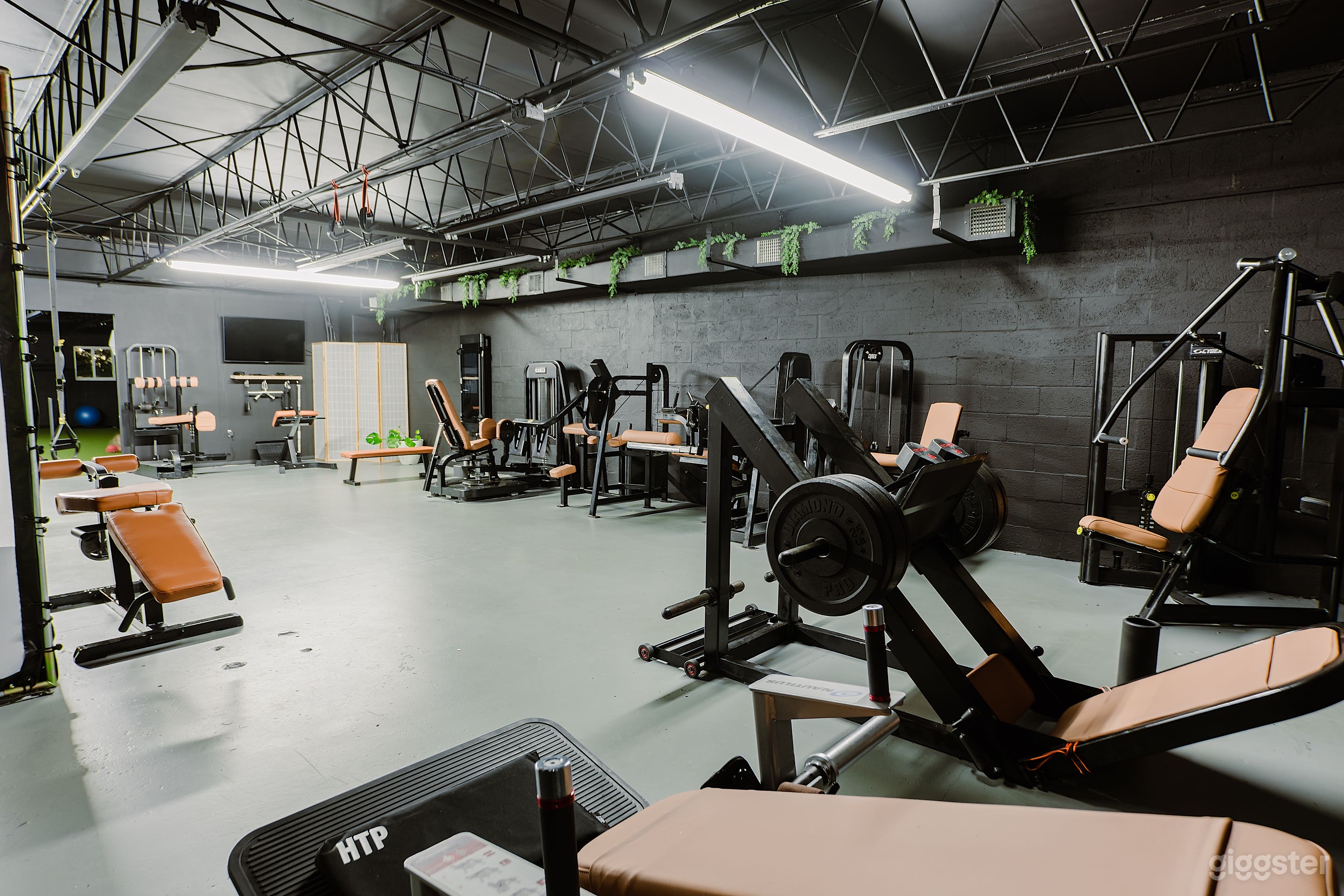 Private Gym for Content Shoot Photo 1