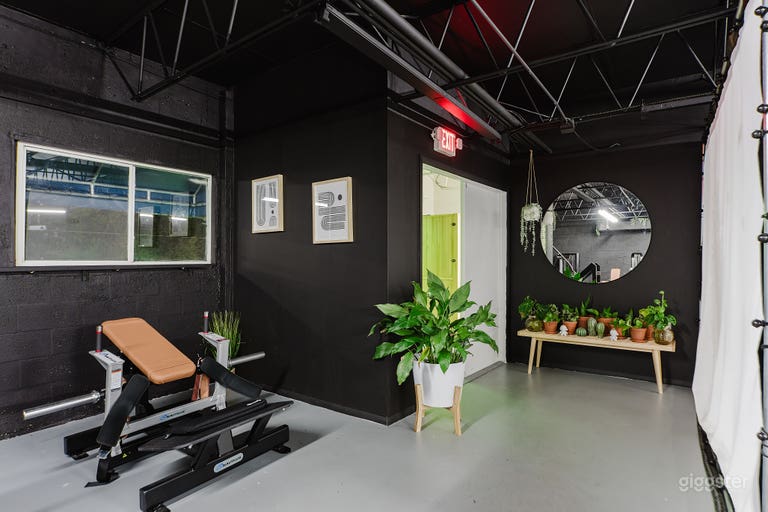 Private Gym for Content Shoot 