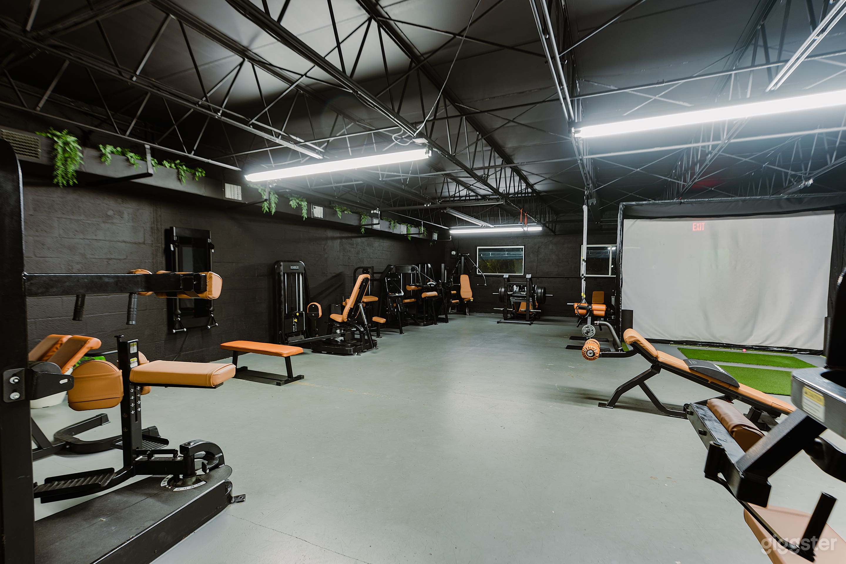 Private Gym for Content Shoot Photo 2