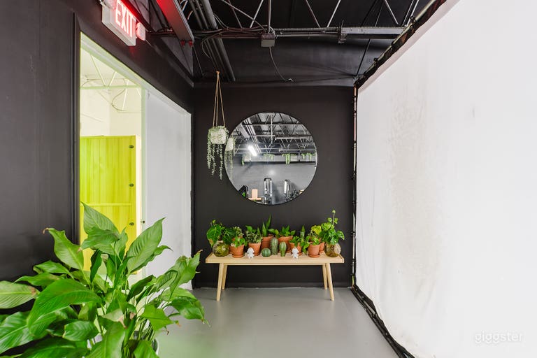  Private Gym for Content Shoot 