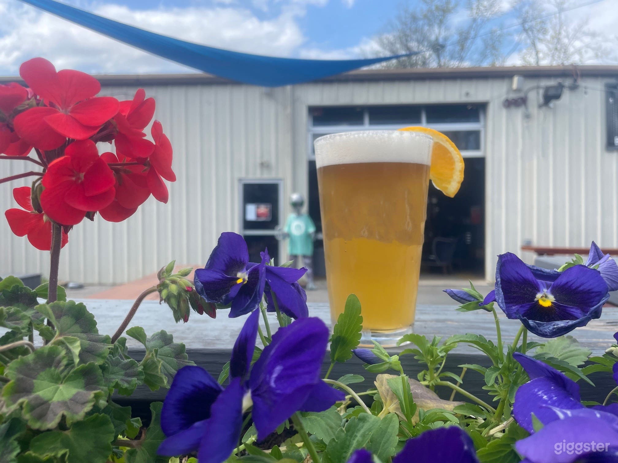 Nanobrewery with Taproom &amp; Biergarten  (Buyout) Photo 1