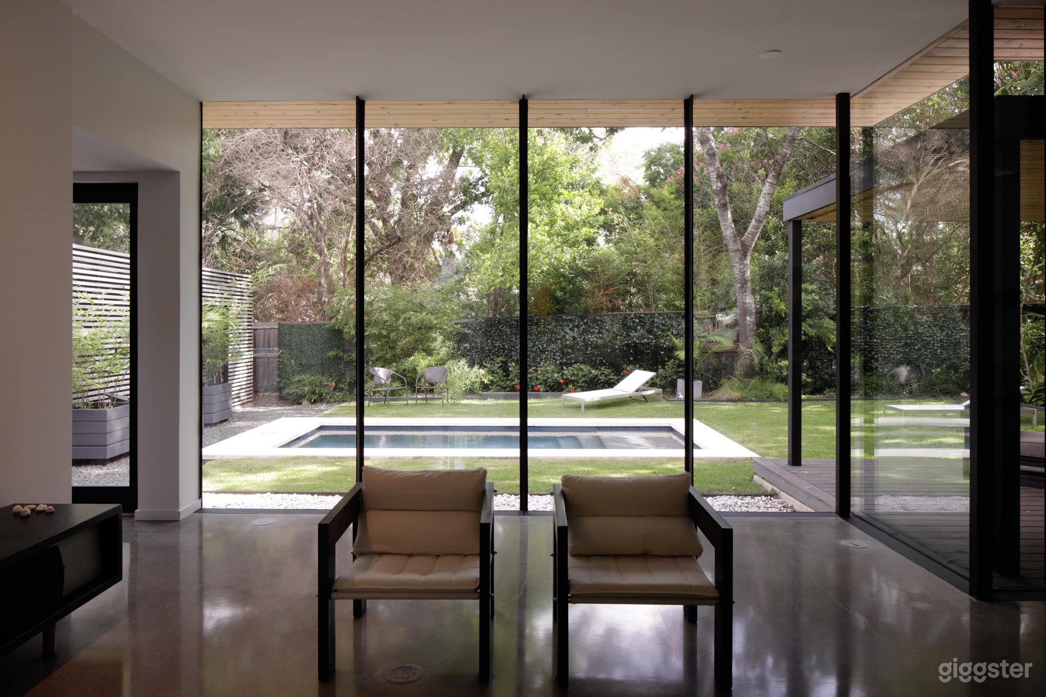 Pool and garden from living room
