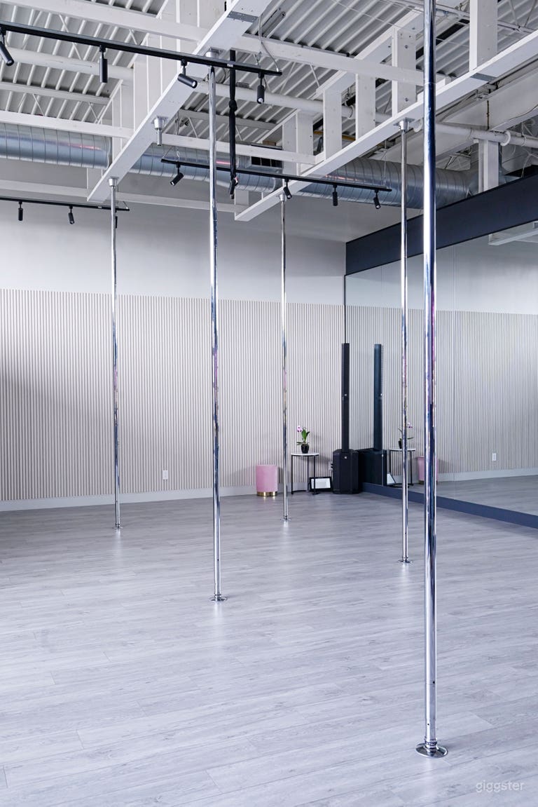  Moody-Chic Dance + Creative Studio with Luxe Decor 