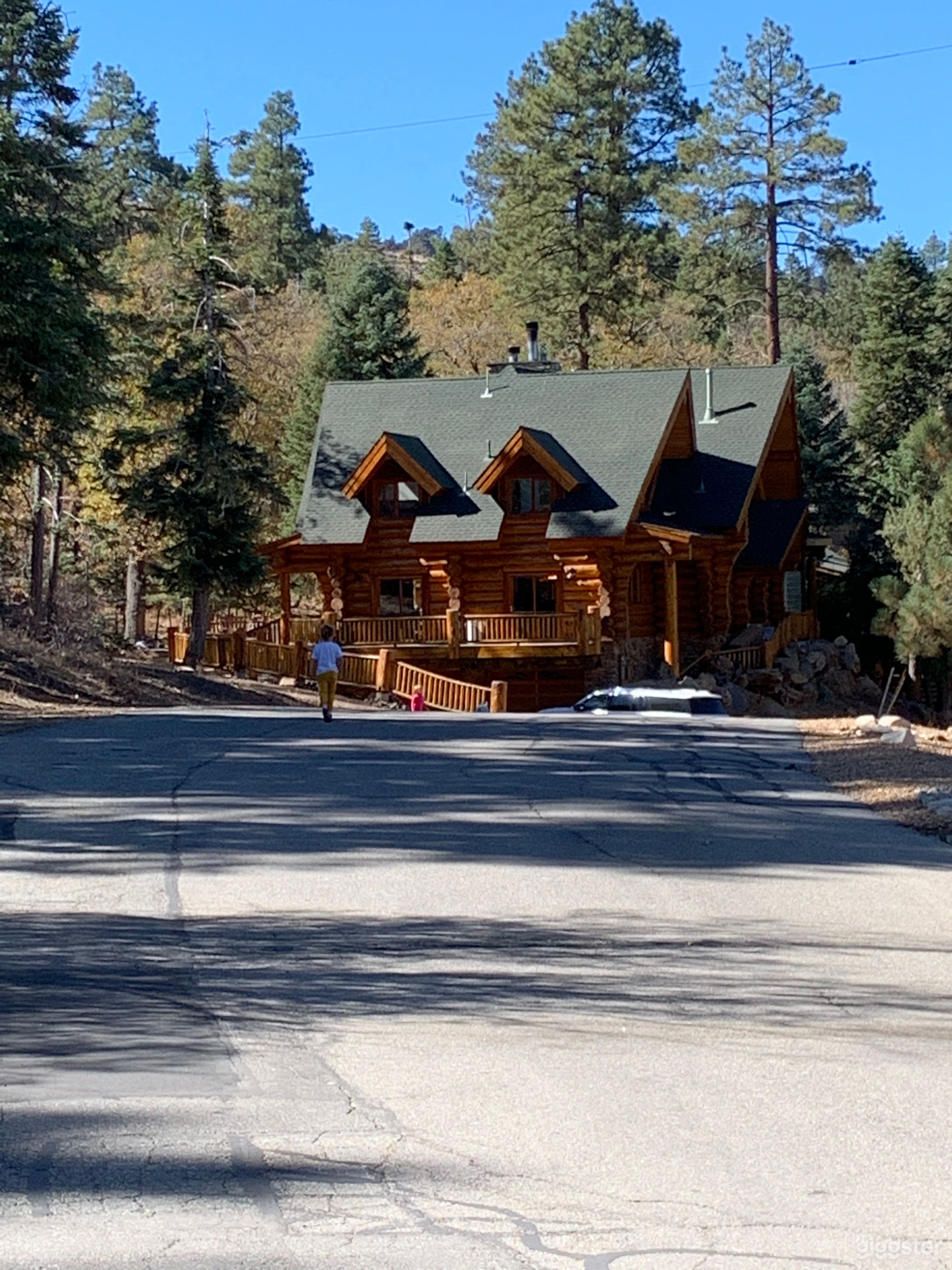 Gorgeous “Chateau” cabin in the forest Photo 1