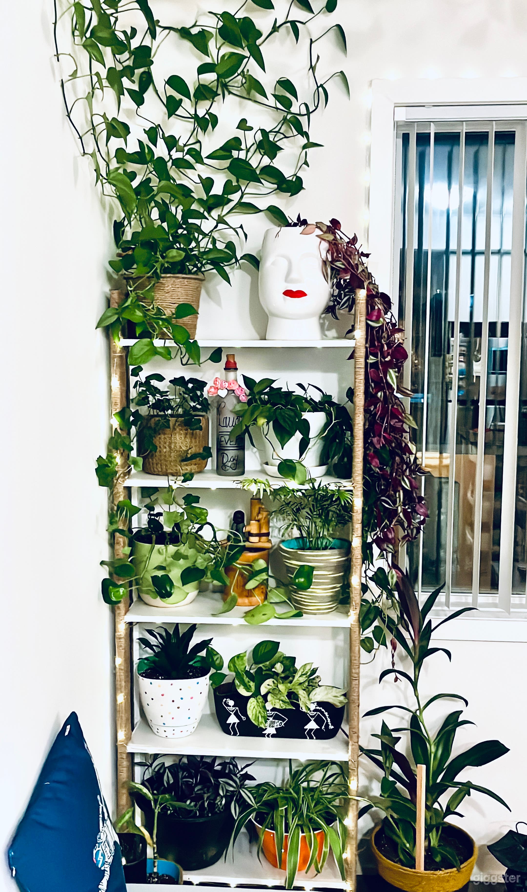 Zen Space for Short Films, Documentaries! Photo 4