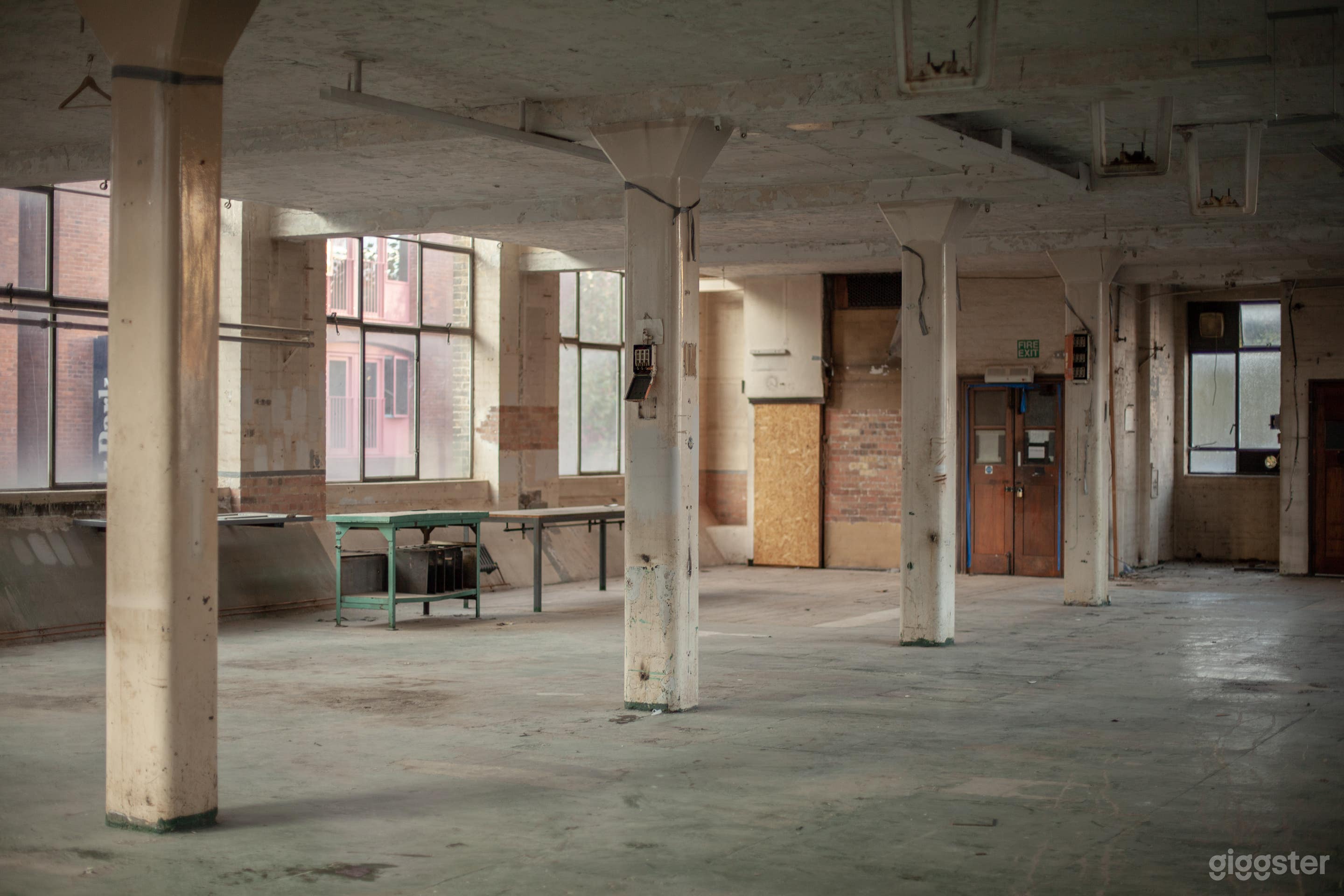 Algha's plantroom Photo 4